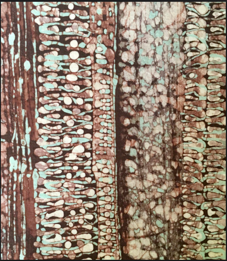 Primary artwork: Mildred Thompson