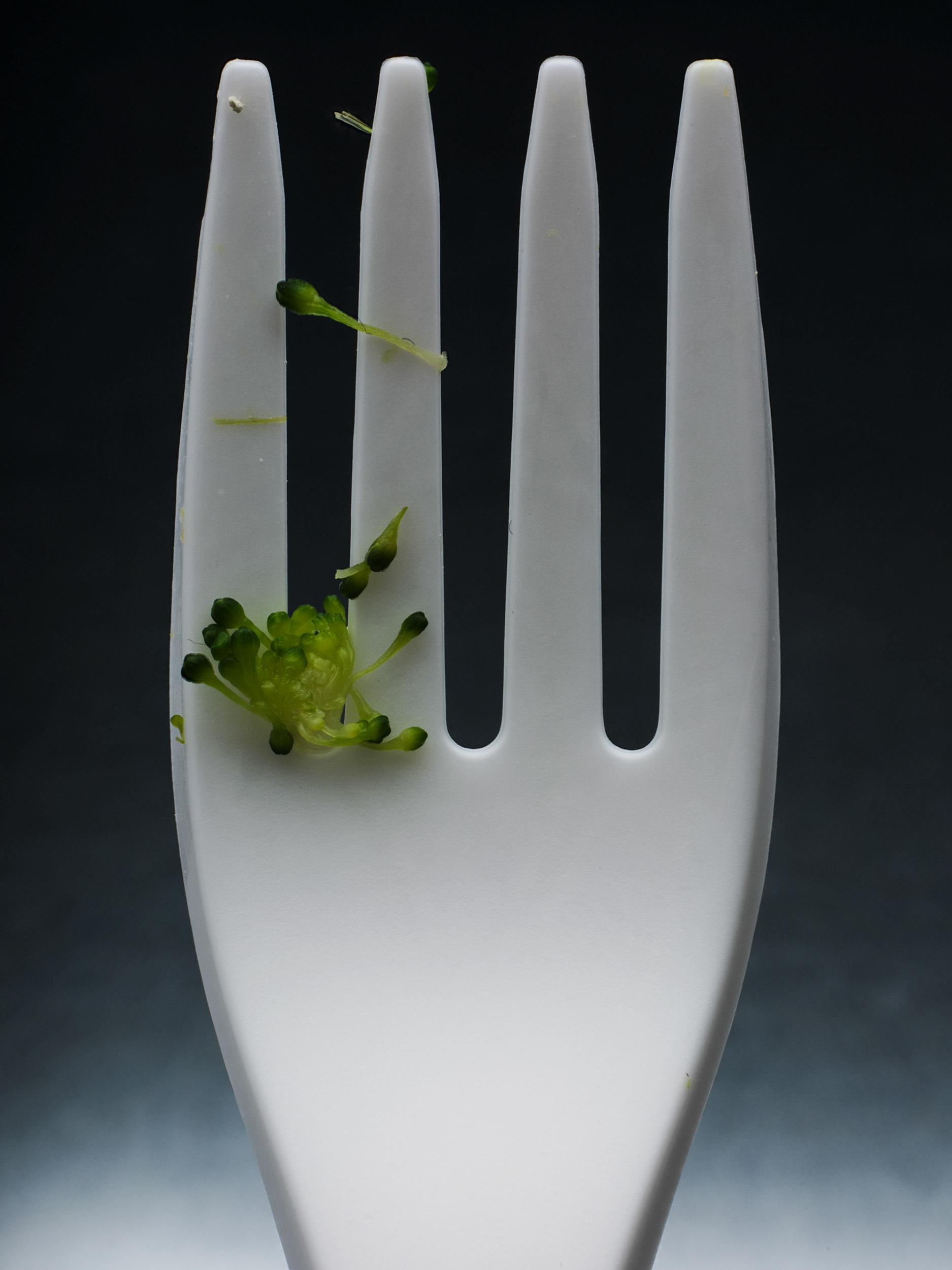 BurningToEat – Image 8
