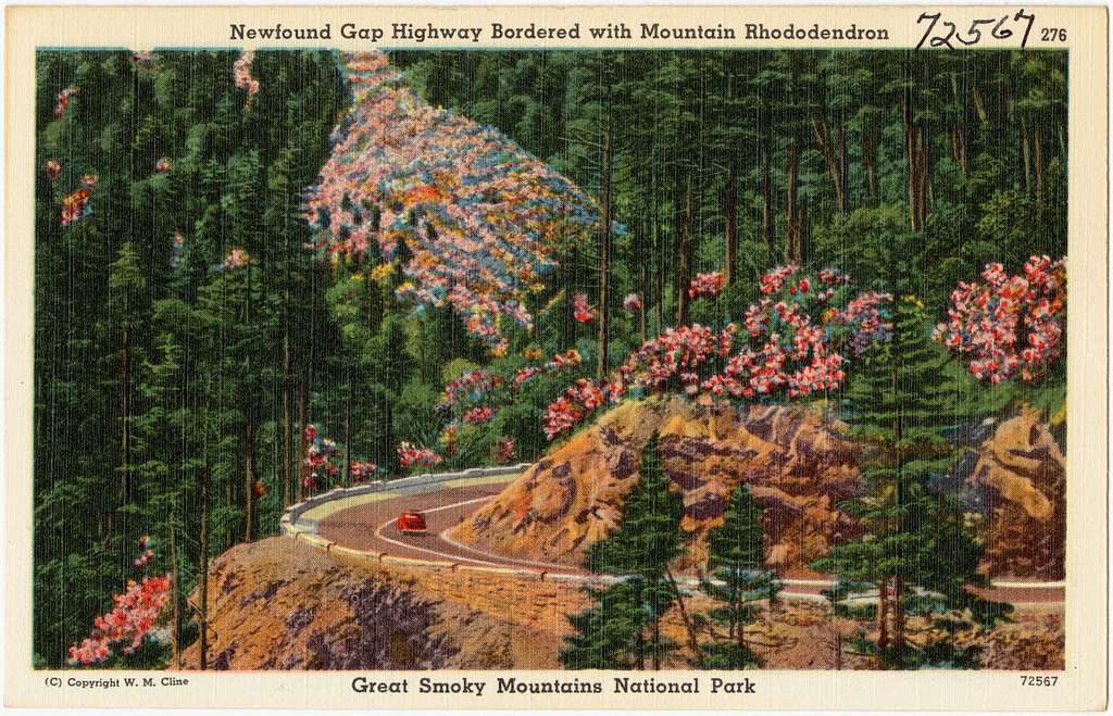Postcard
