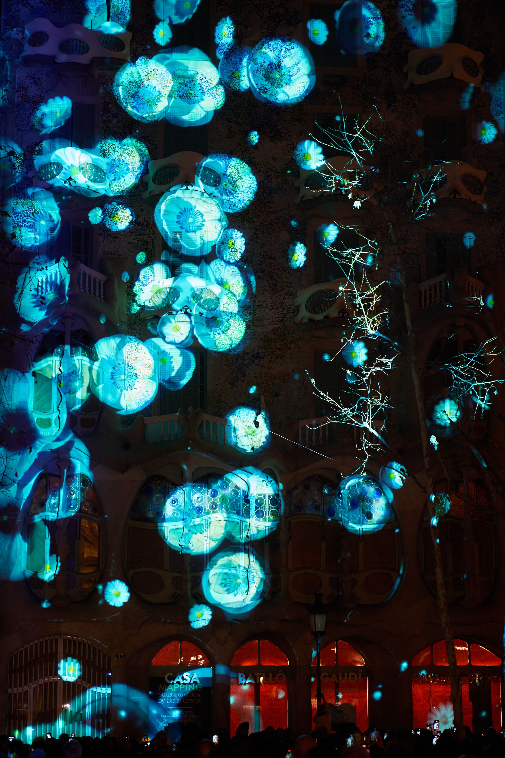 Structures of Being projection on Casa Batlló 3