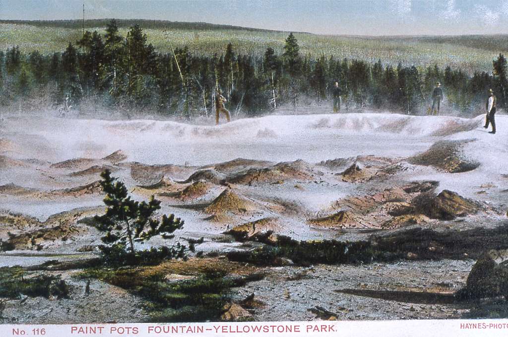 Postcard