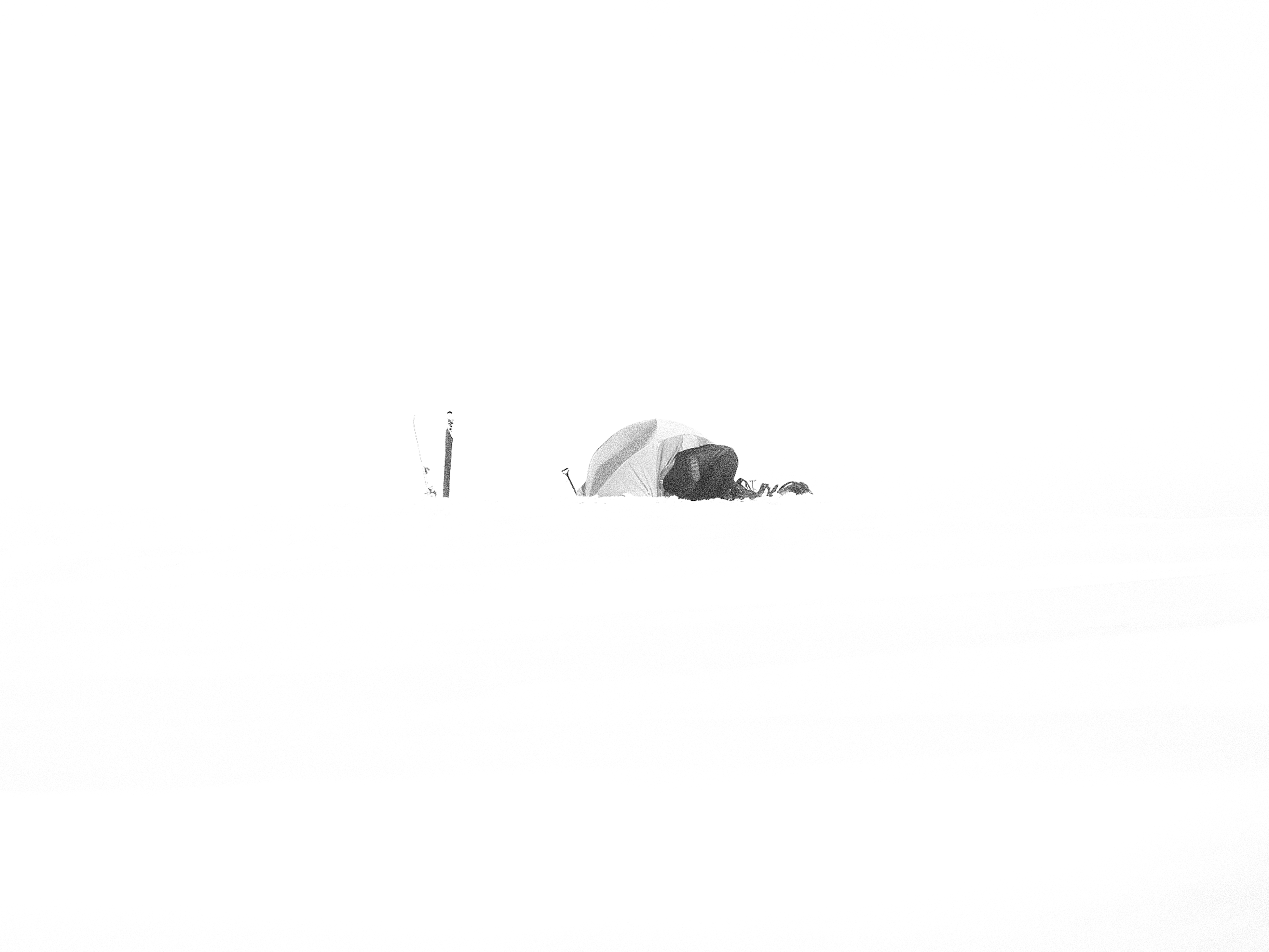 Black plate