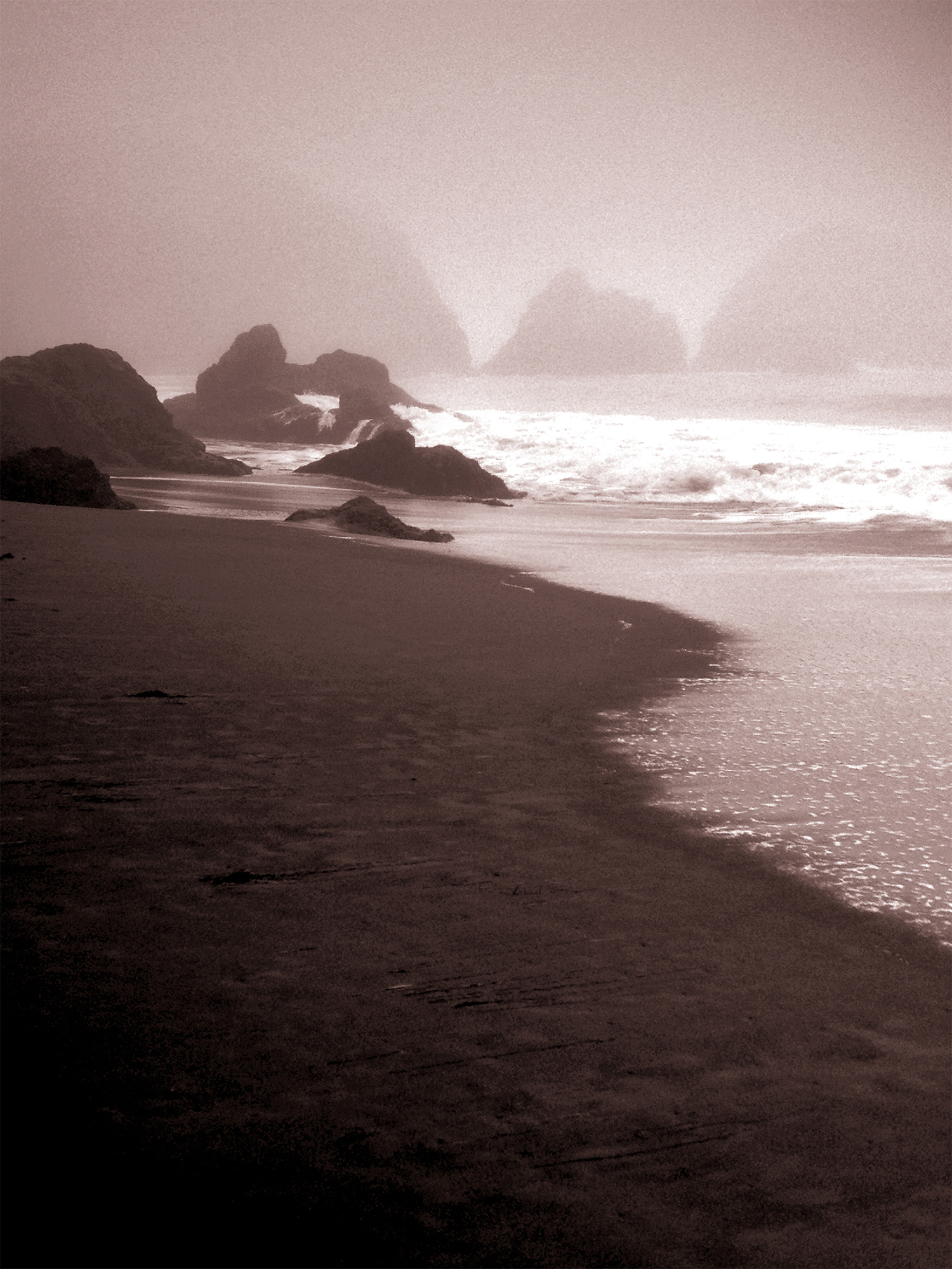 Fog Rodeo Beach by Marianne Owens