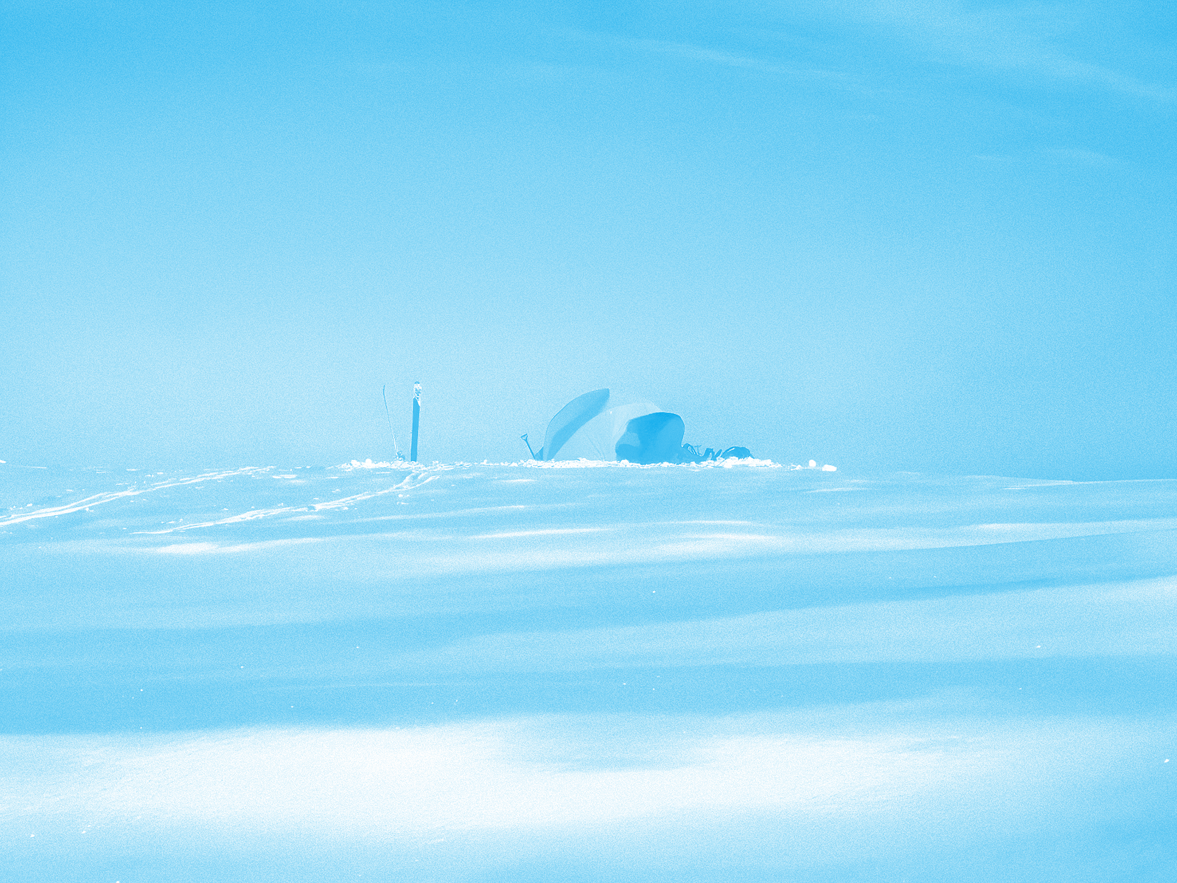 Cyan plate