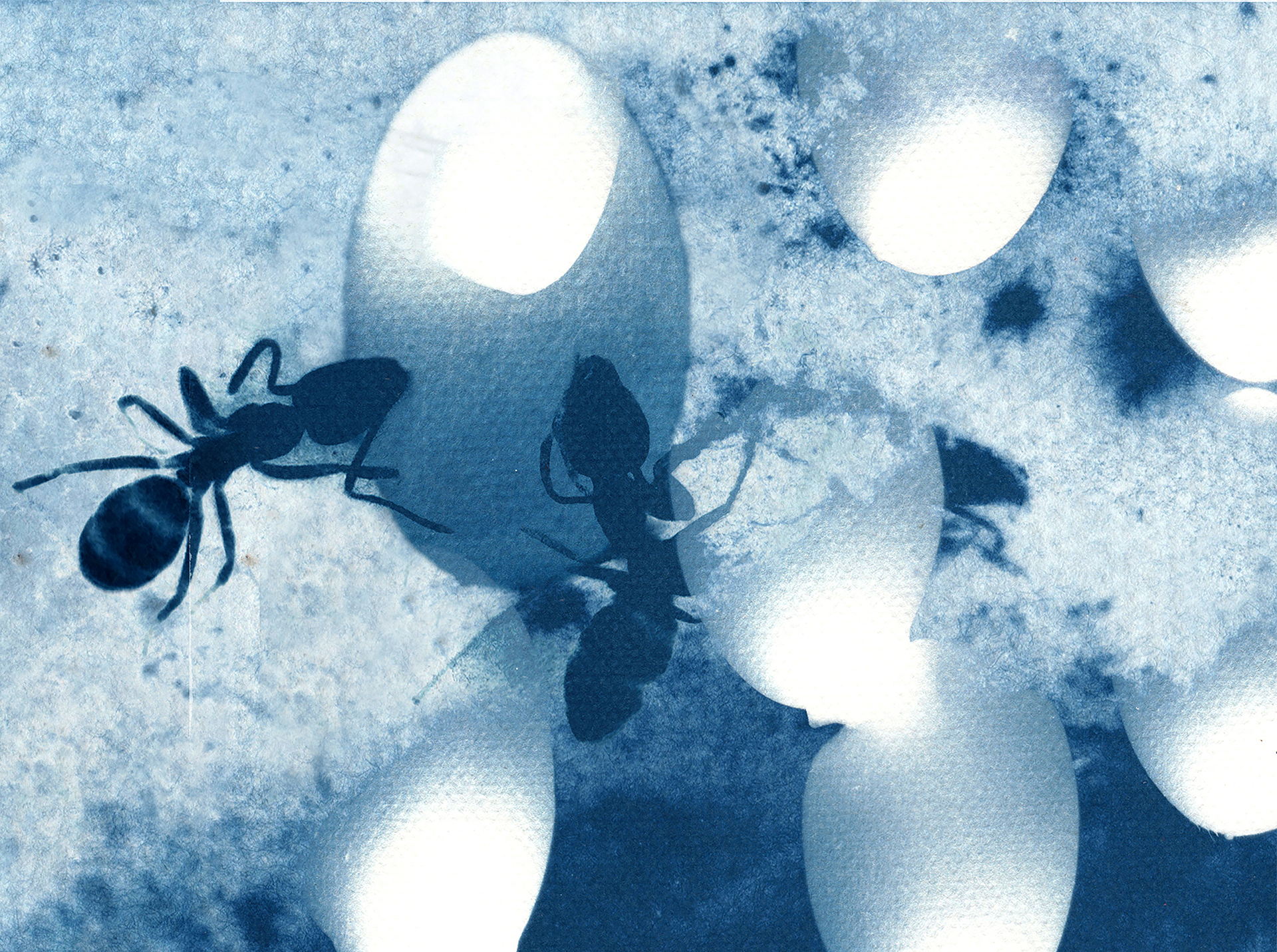 Fotograma de la obra La Carne y la Grieta