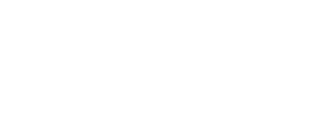 Studio Frenezi Logo