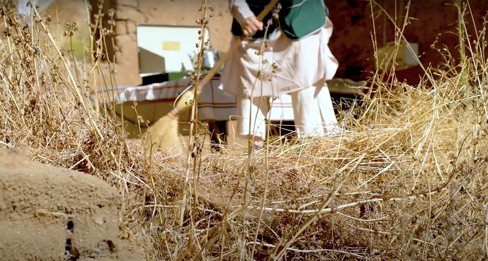 Fotograma de la obra Ecúmene