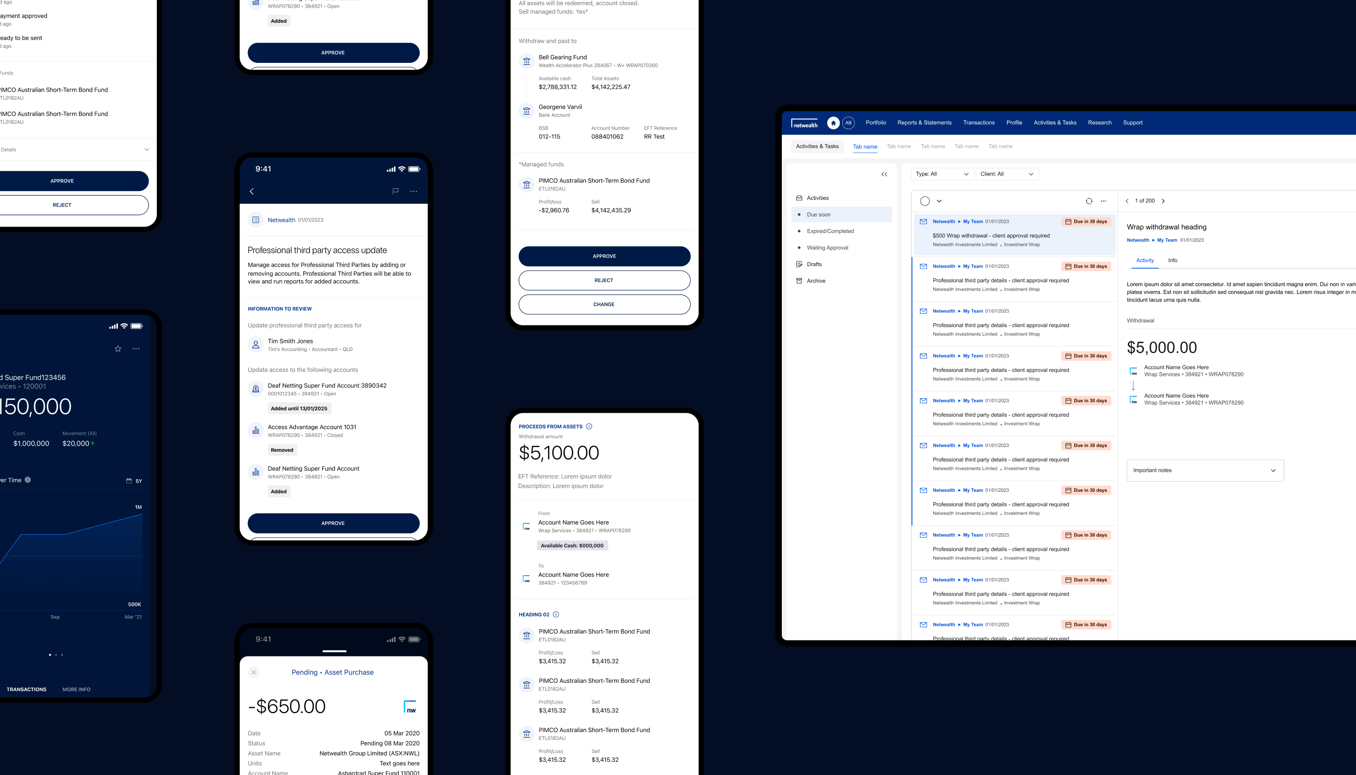 Netwealth Project Image