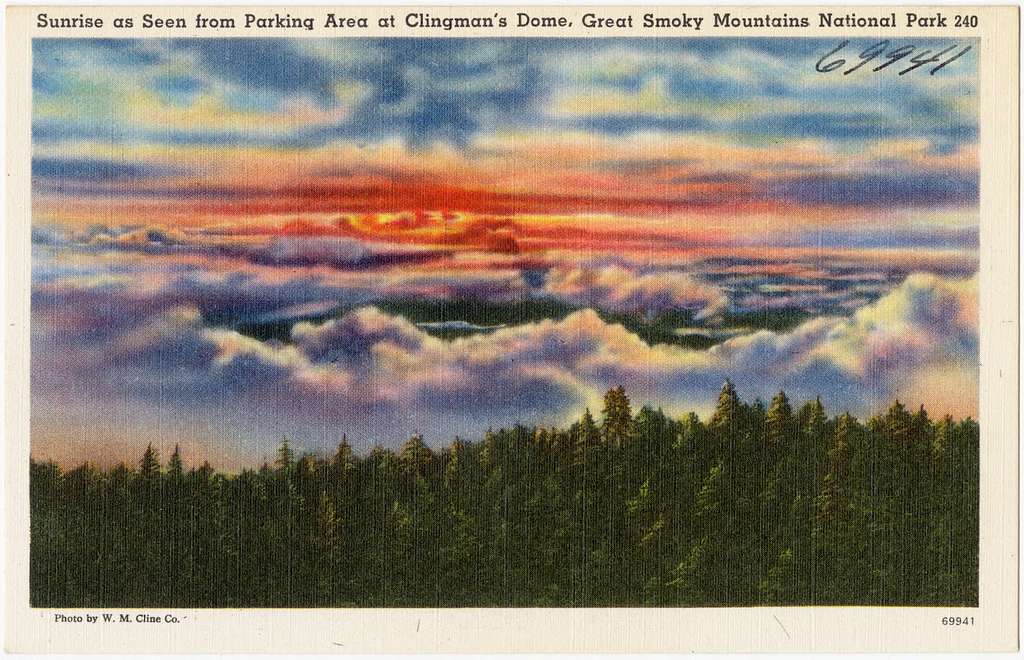Postcard
