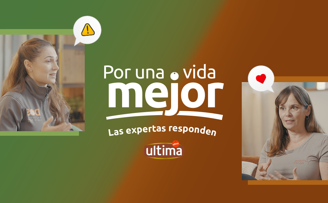 Proyecto 1
