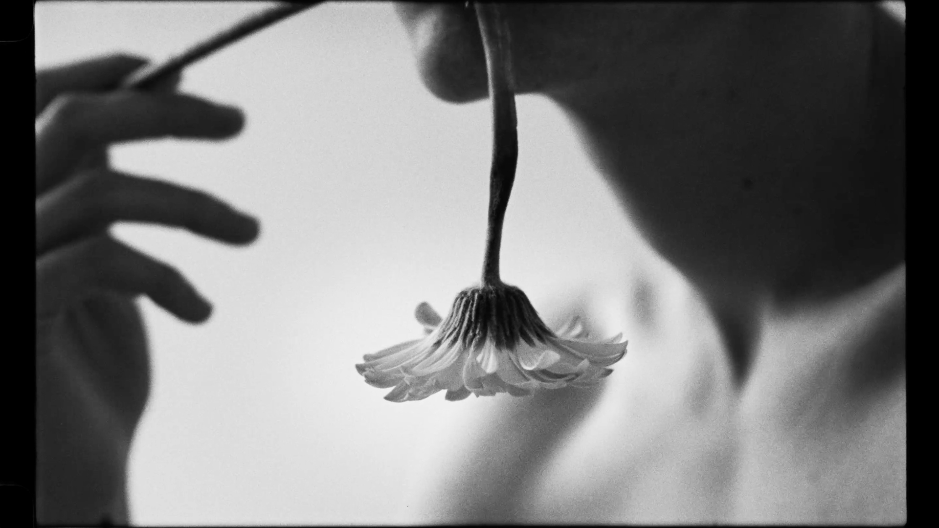 Still 1