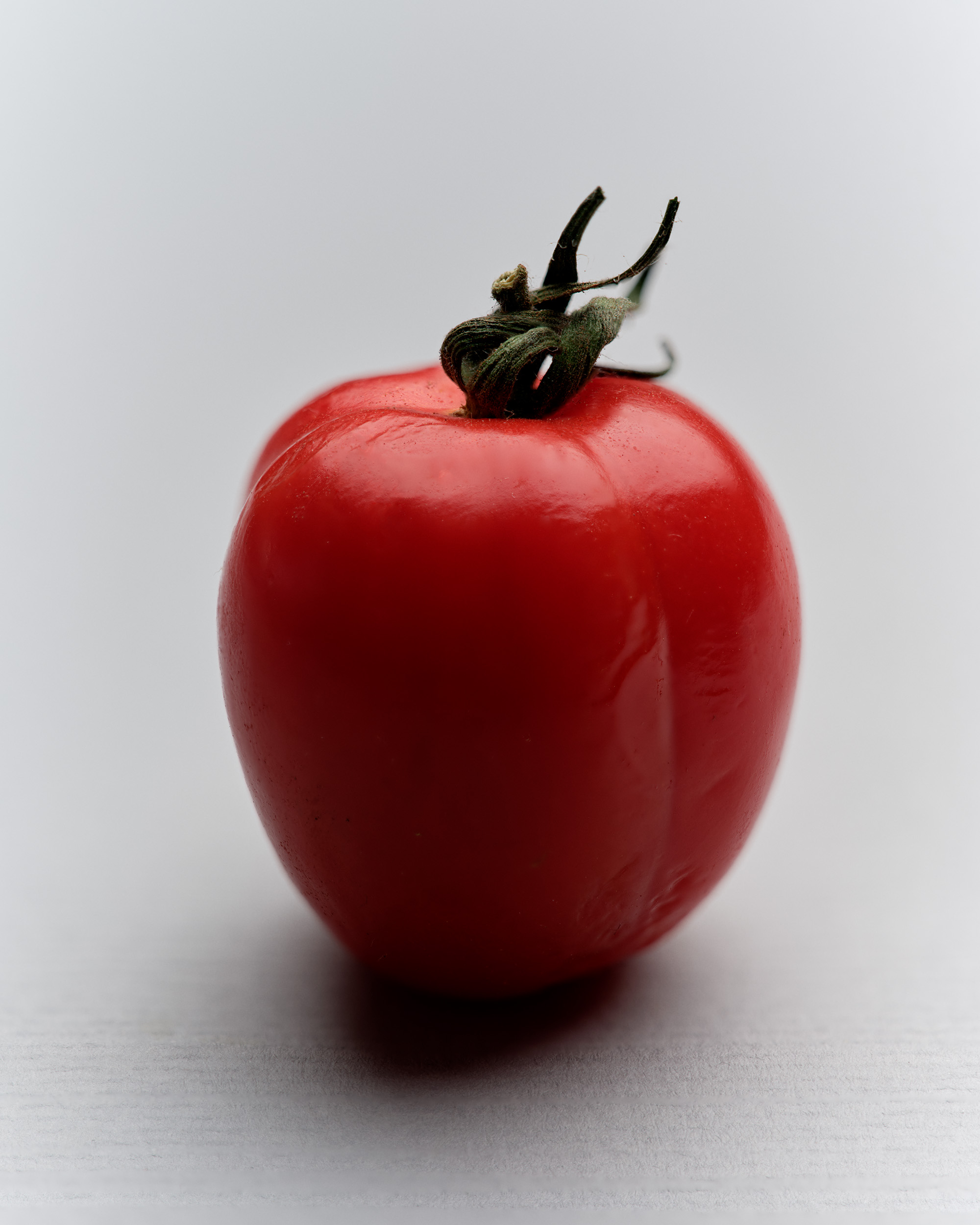 tomato