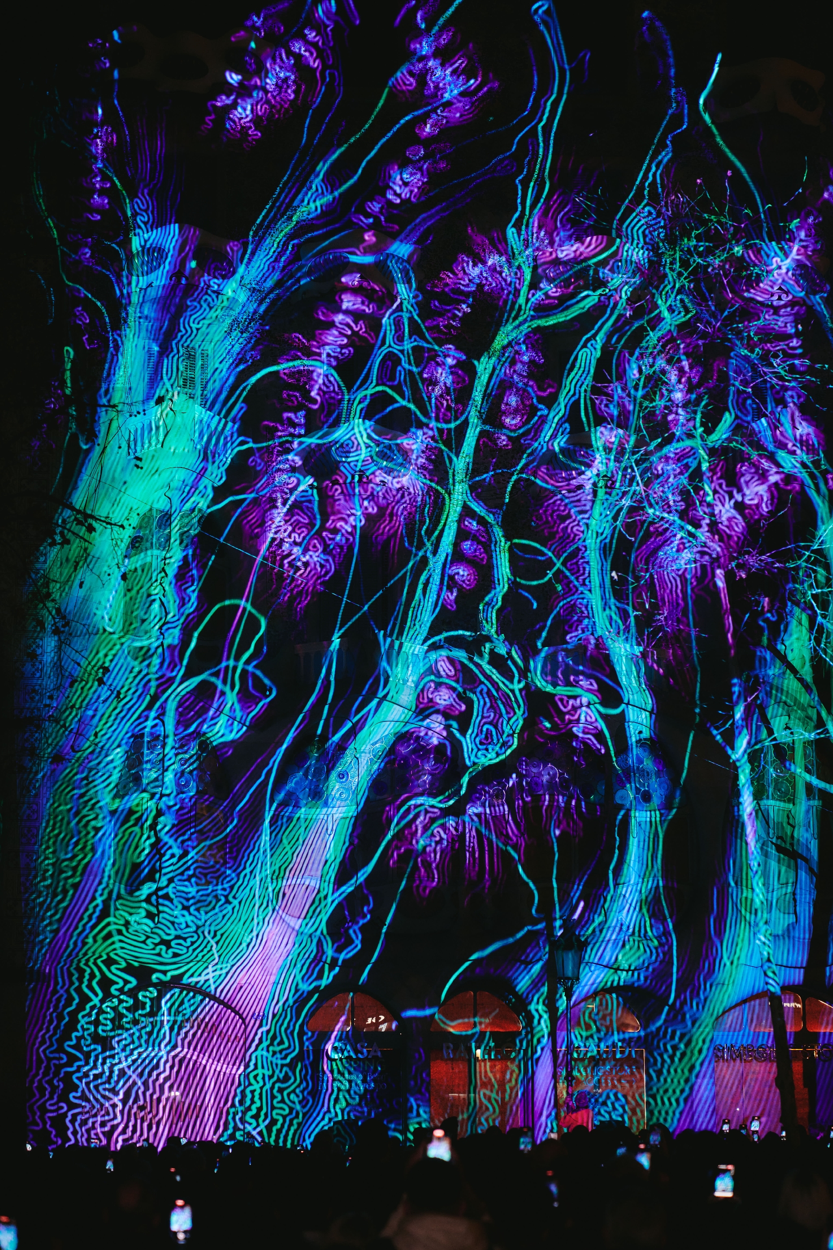 Structures of Being projection on Casa Batlló 6