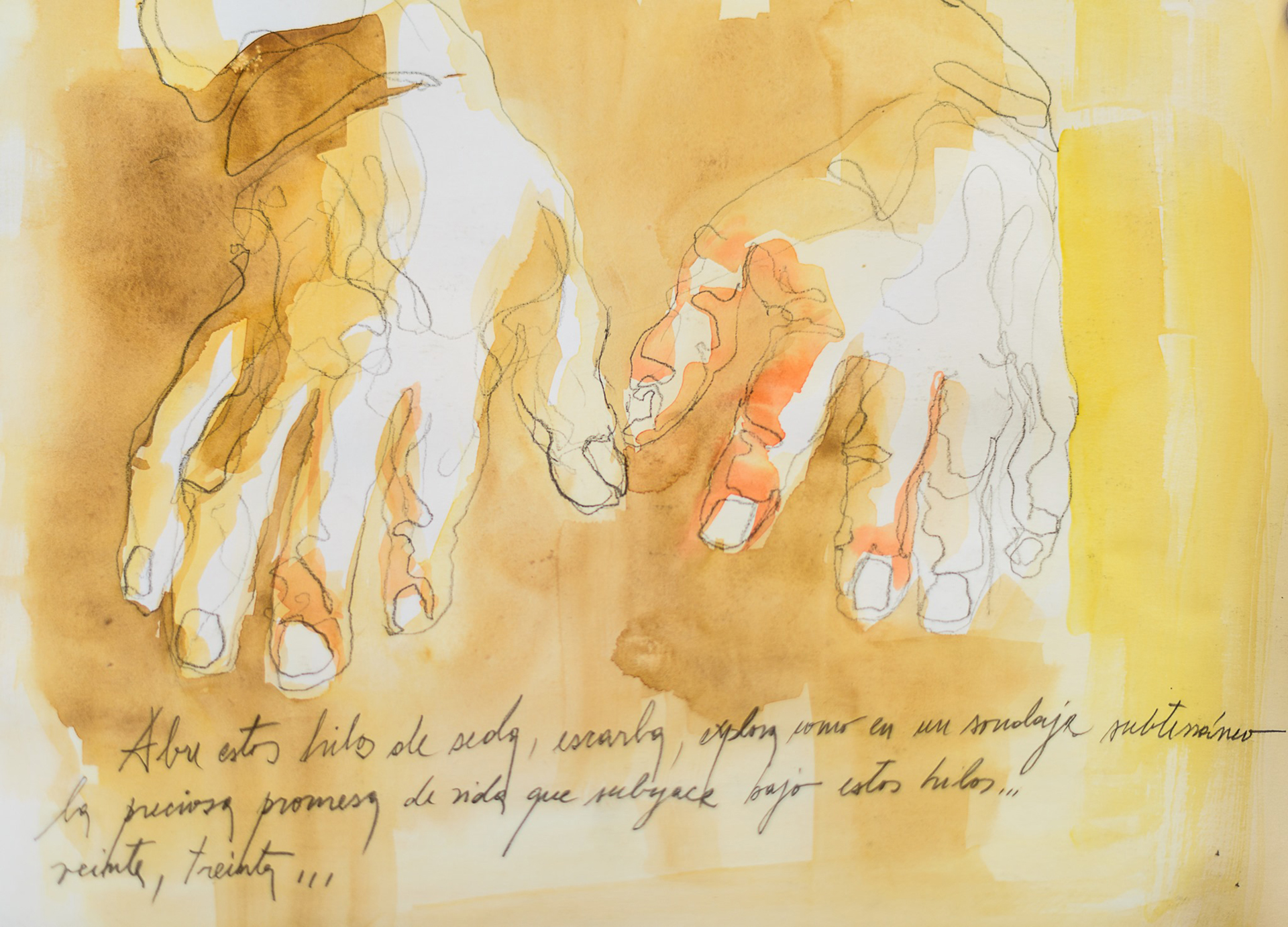 Detalle obra Catastro Humano, semillas y semilleros del Choapa