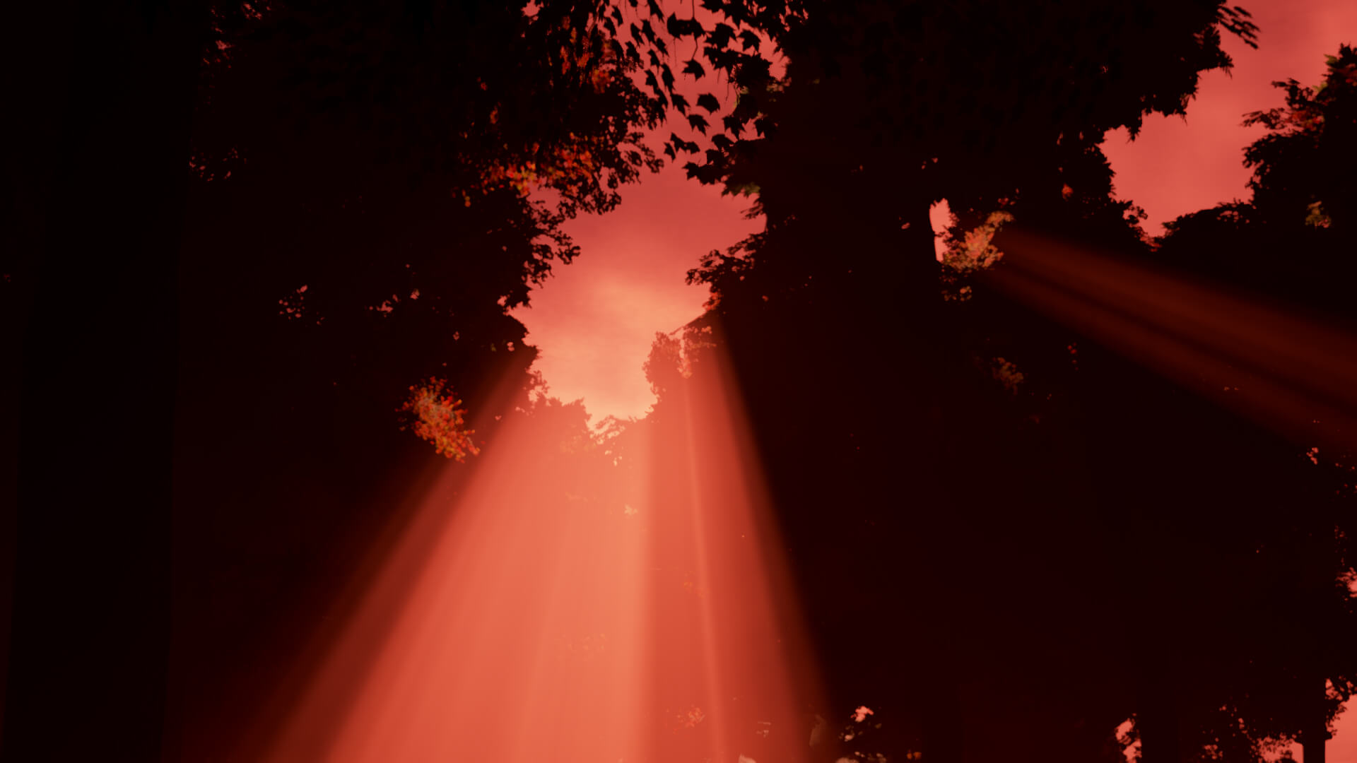 Please video still – abstract structures in fog and colour