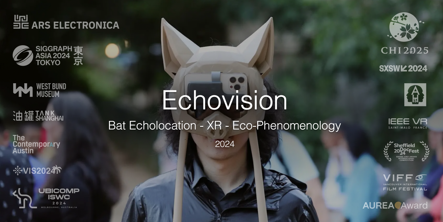 echovision 常态图