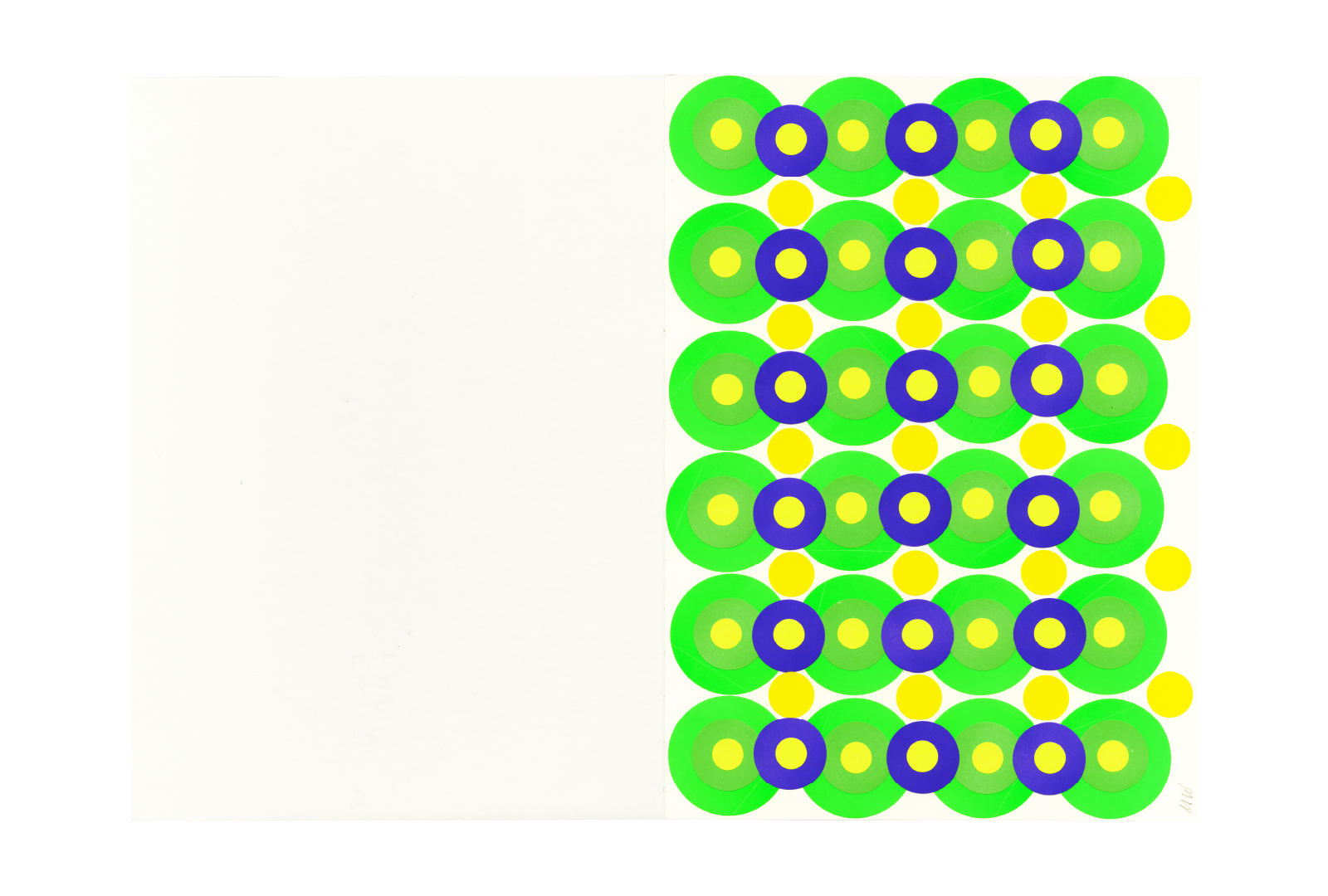 Oroblanco 19