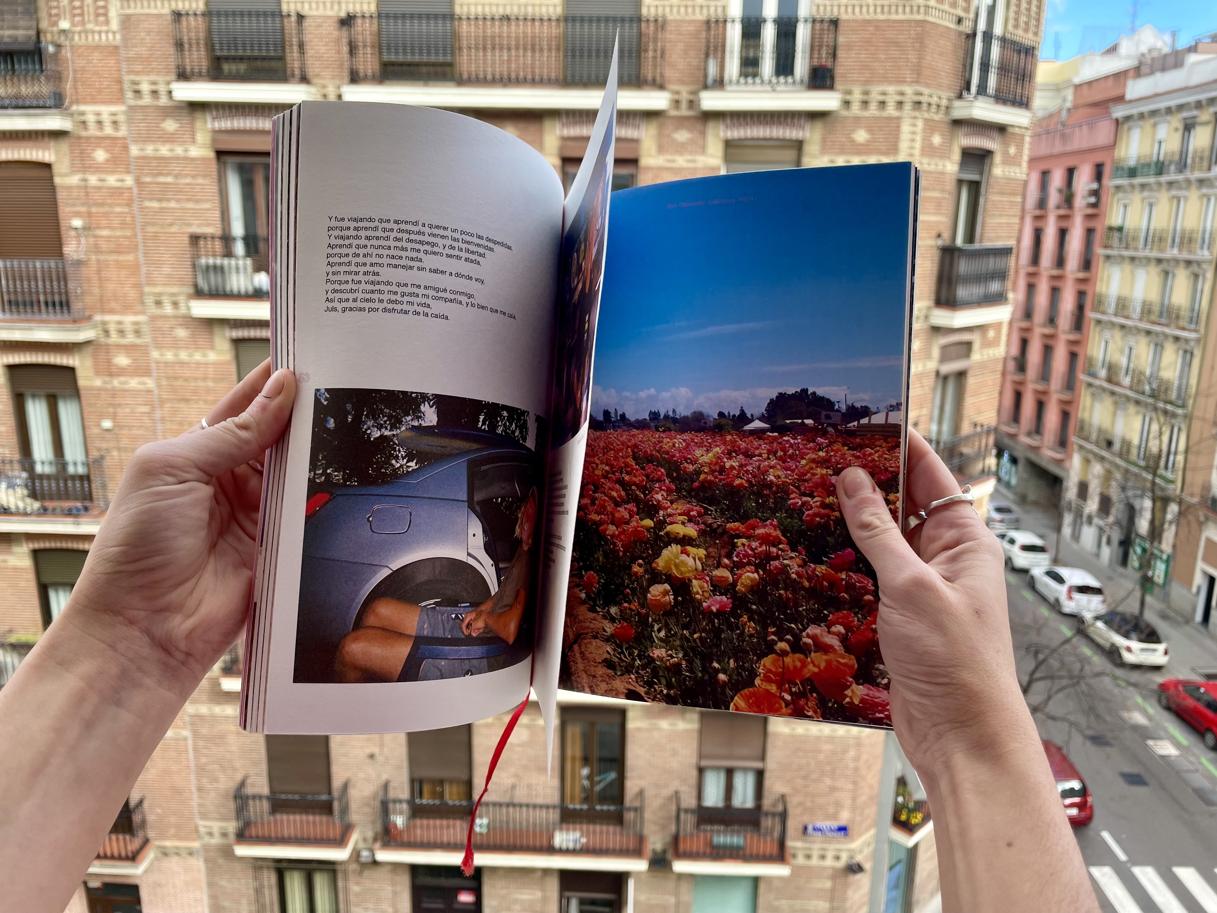 1. "Un pequeño libro de fotos y palabras"