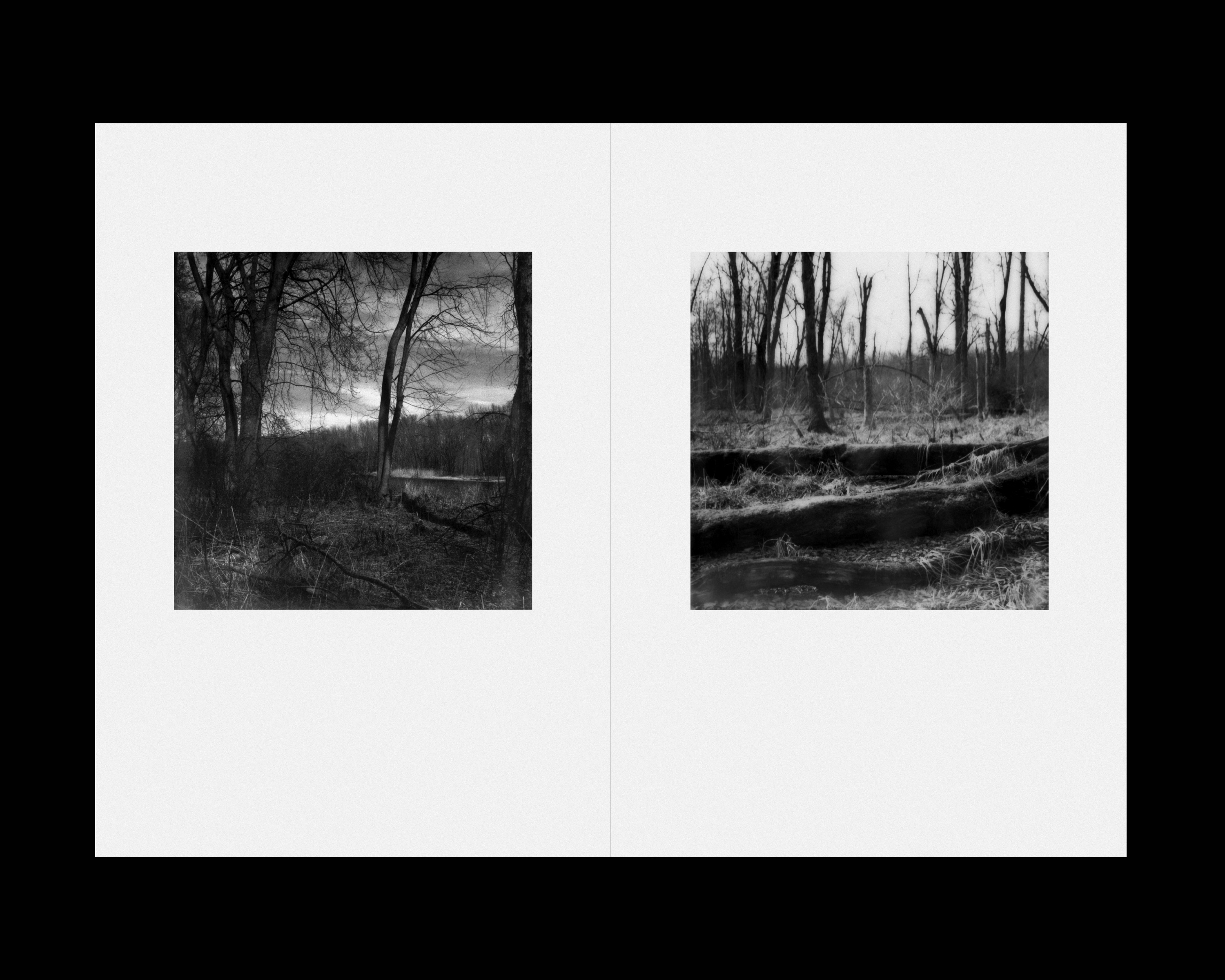 Work by Abbey Meaker. Floodplains ©2022