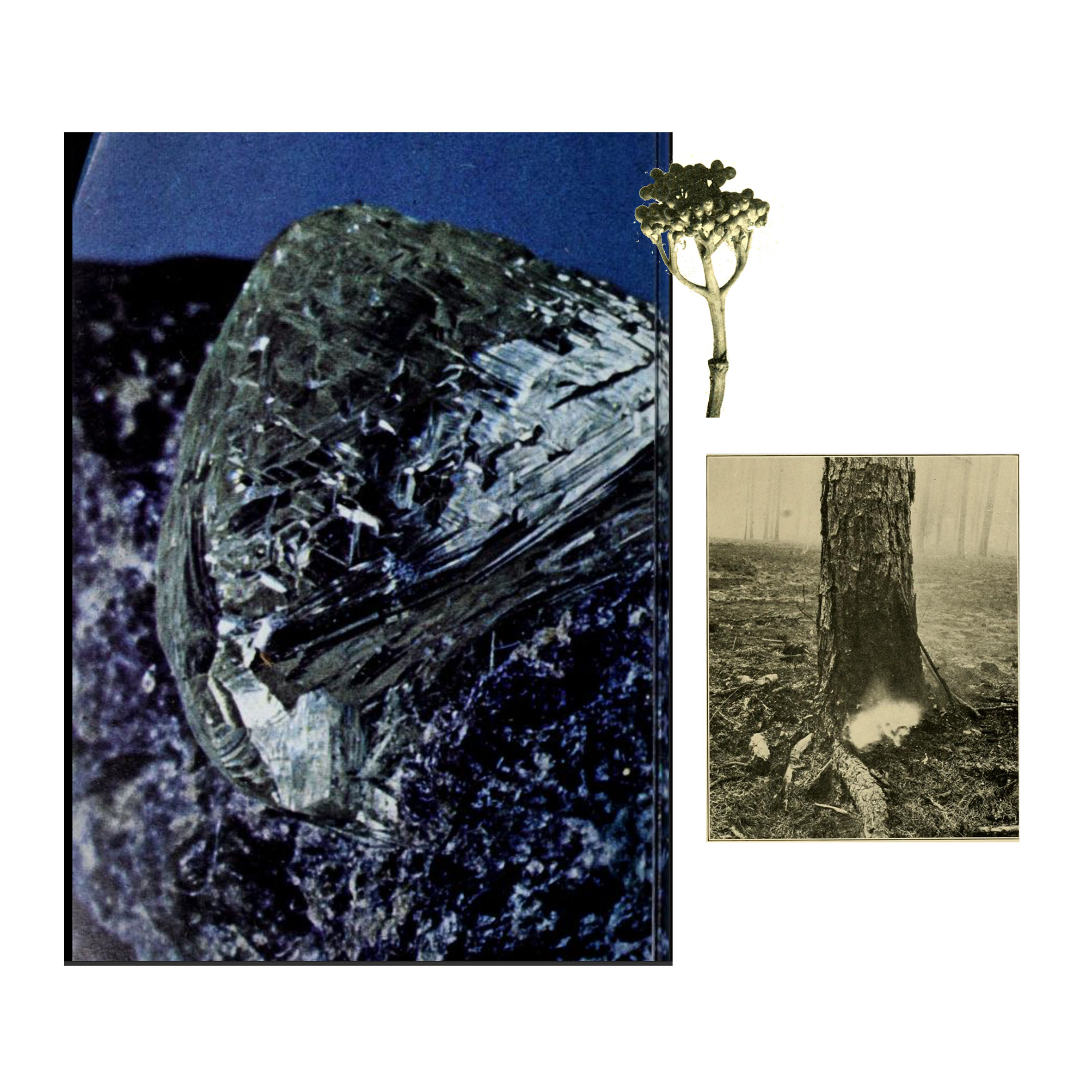 IN THE HEART OF CHOREOGRAPHY