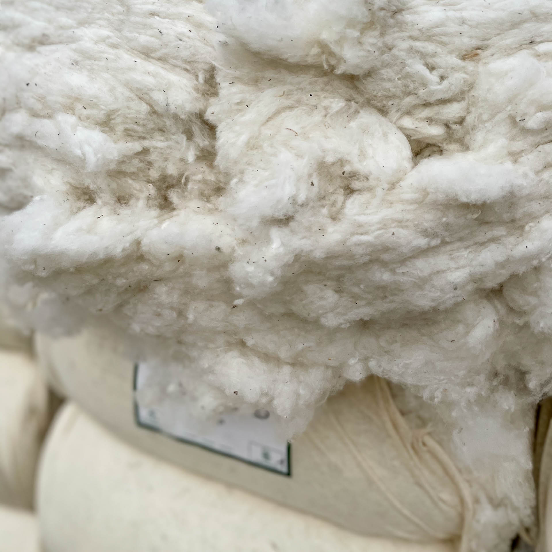 Sourcing trip to cotton fields. Cadiz, Spain