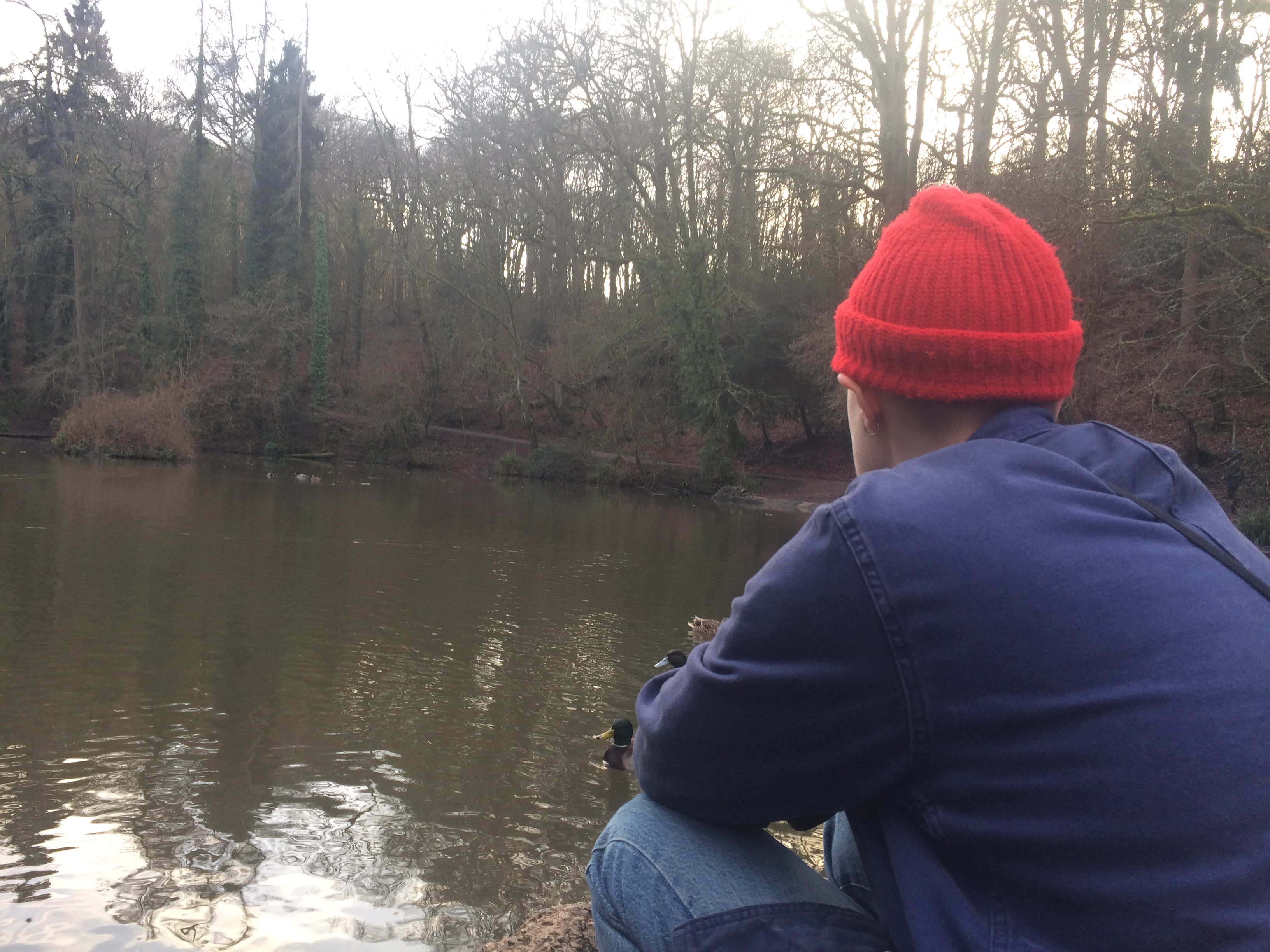 a person sits by a lake, surrounded by winter trees