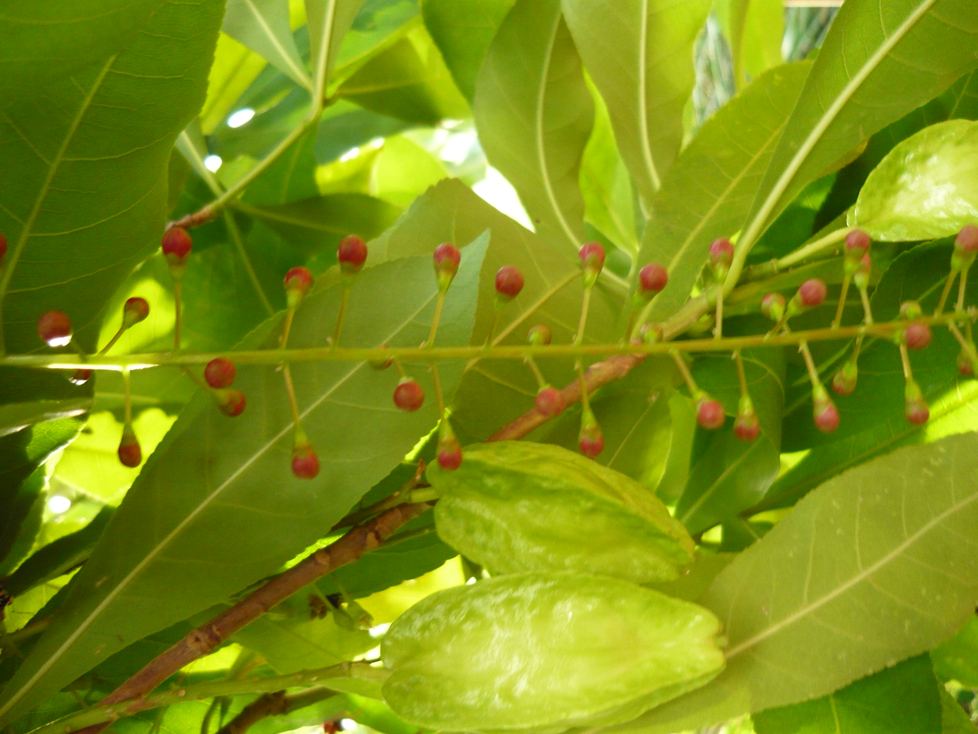 Photographs by Paul Marshall