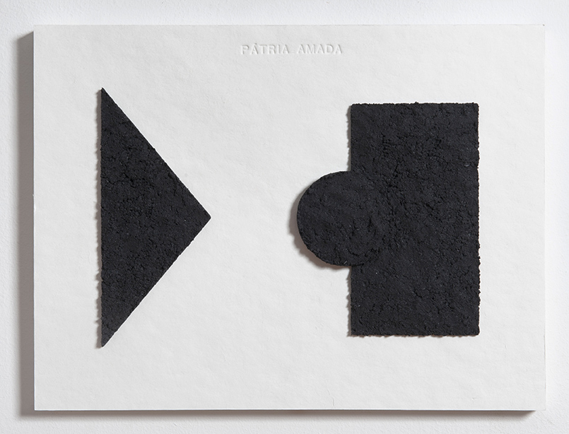 2020 l Pátria Amada l Carvão e aglutinante sobre papel cartão l 40x30cm