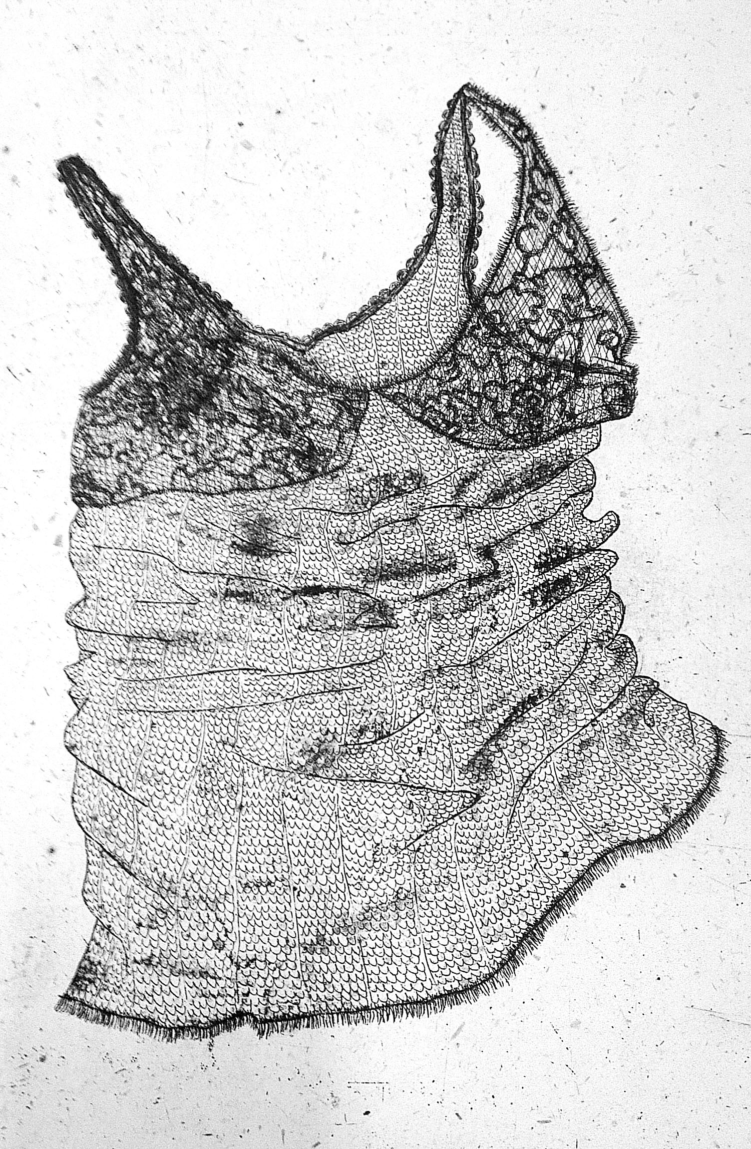 CLOTHES’ MEMORY #2, 2016