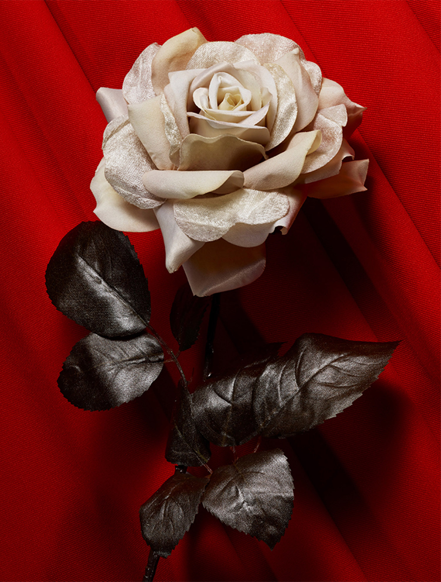 KMA stylist Sara Wacksman designs set for a conceptual photo of a white flower laying on a red background for Pan & The Dream