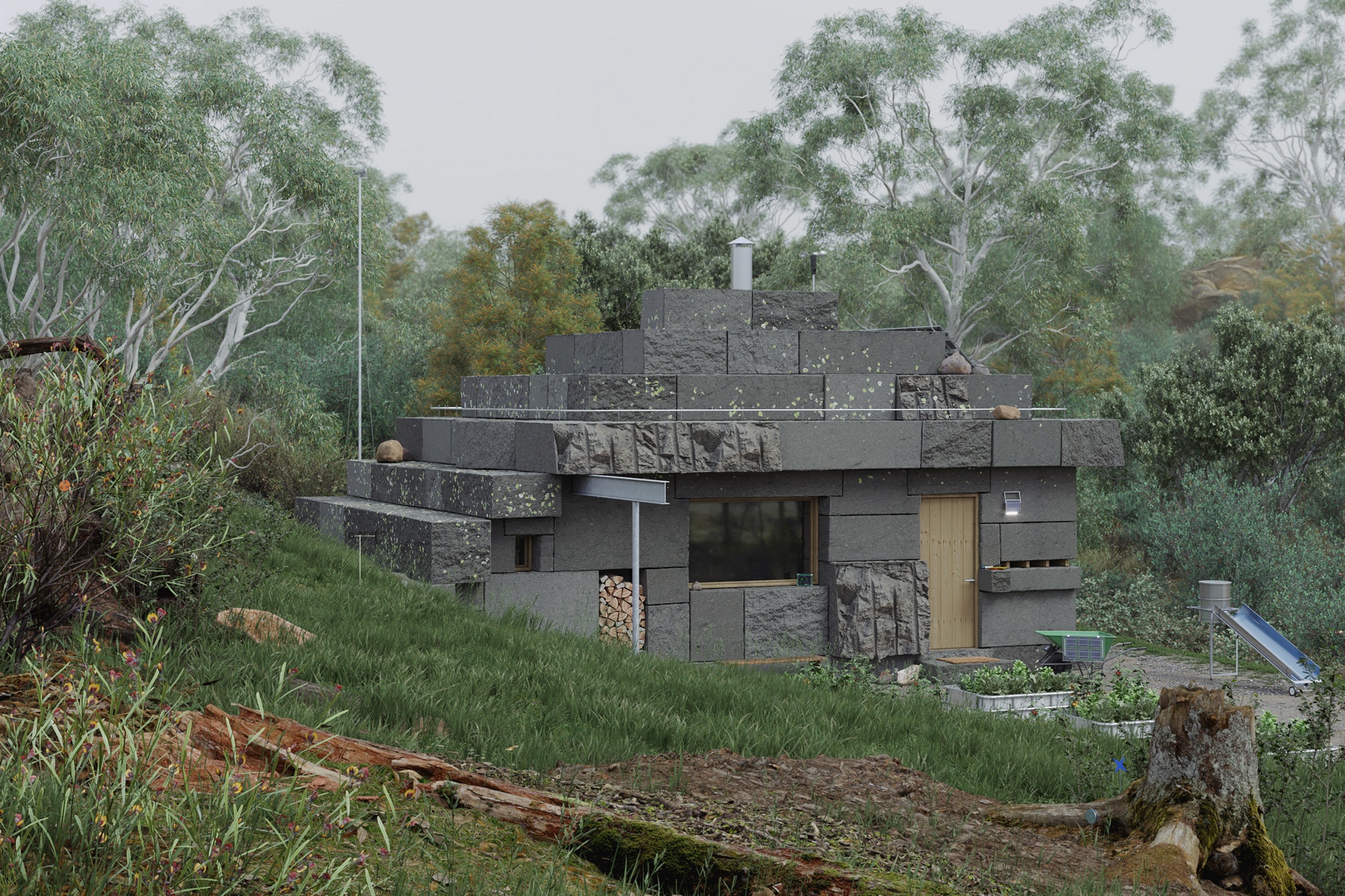 House for Lichen, Residential, 2024-