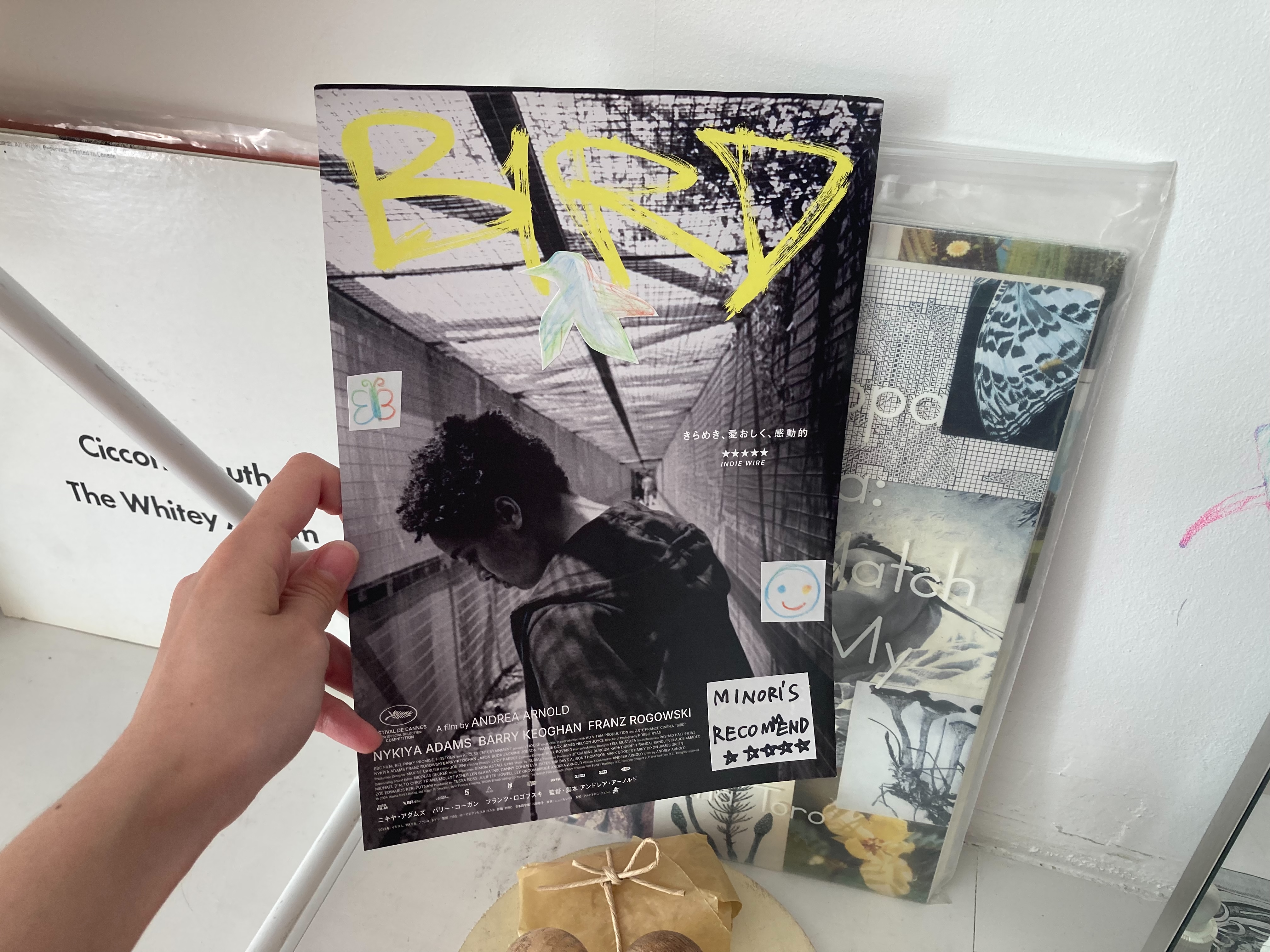 Andrea Arnold『BIRD』: By Minori