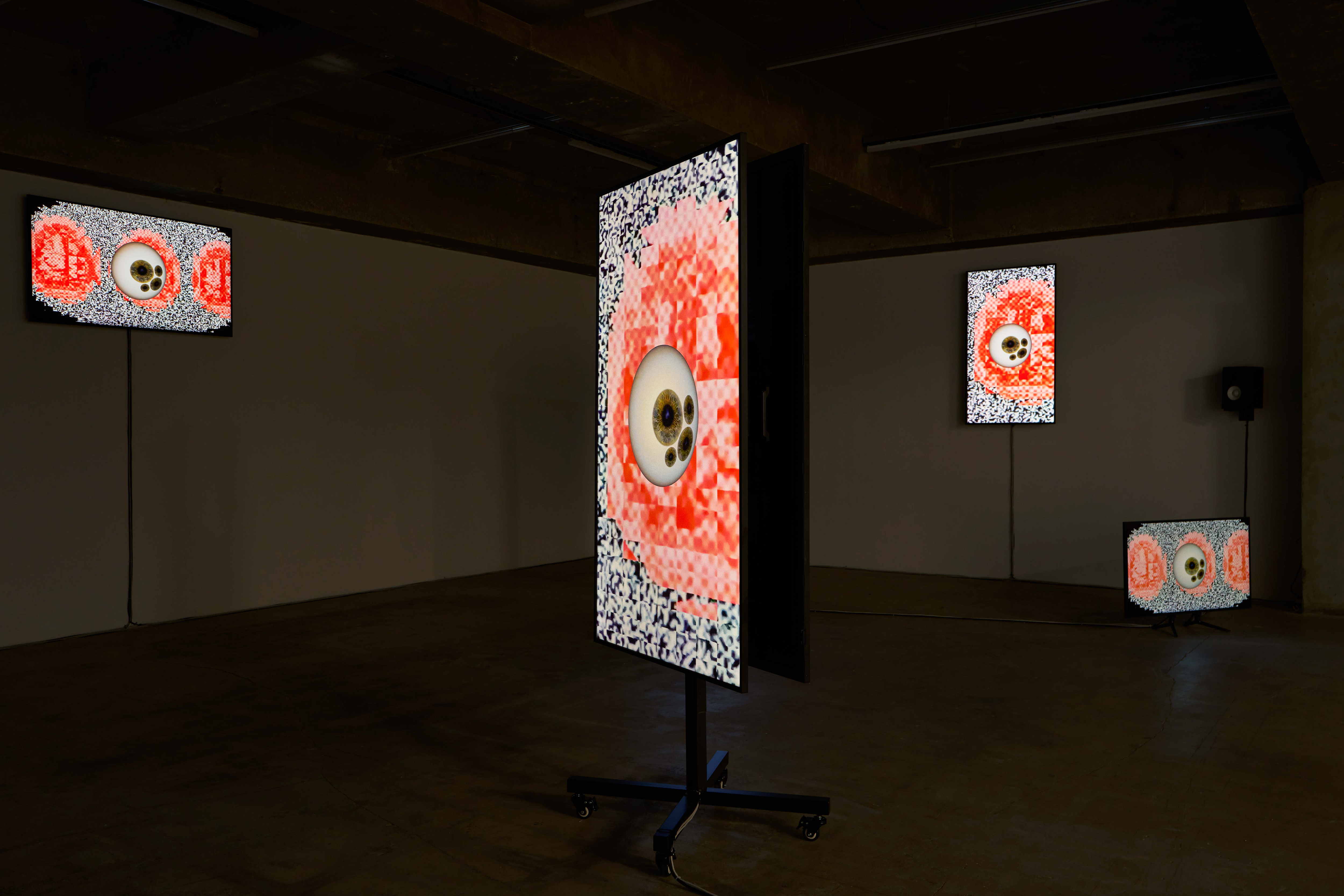 Good After눈 (2024)