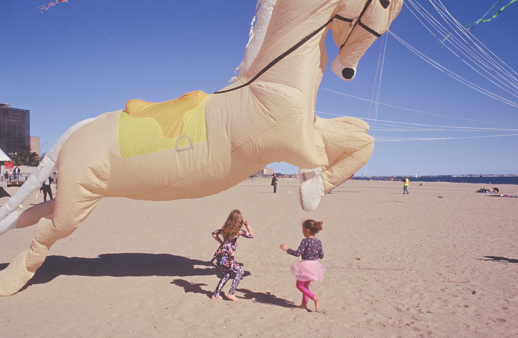 coney-island-horse