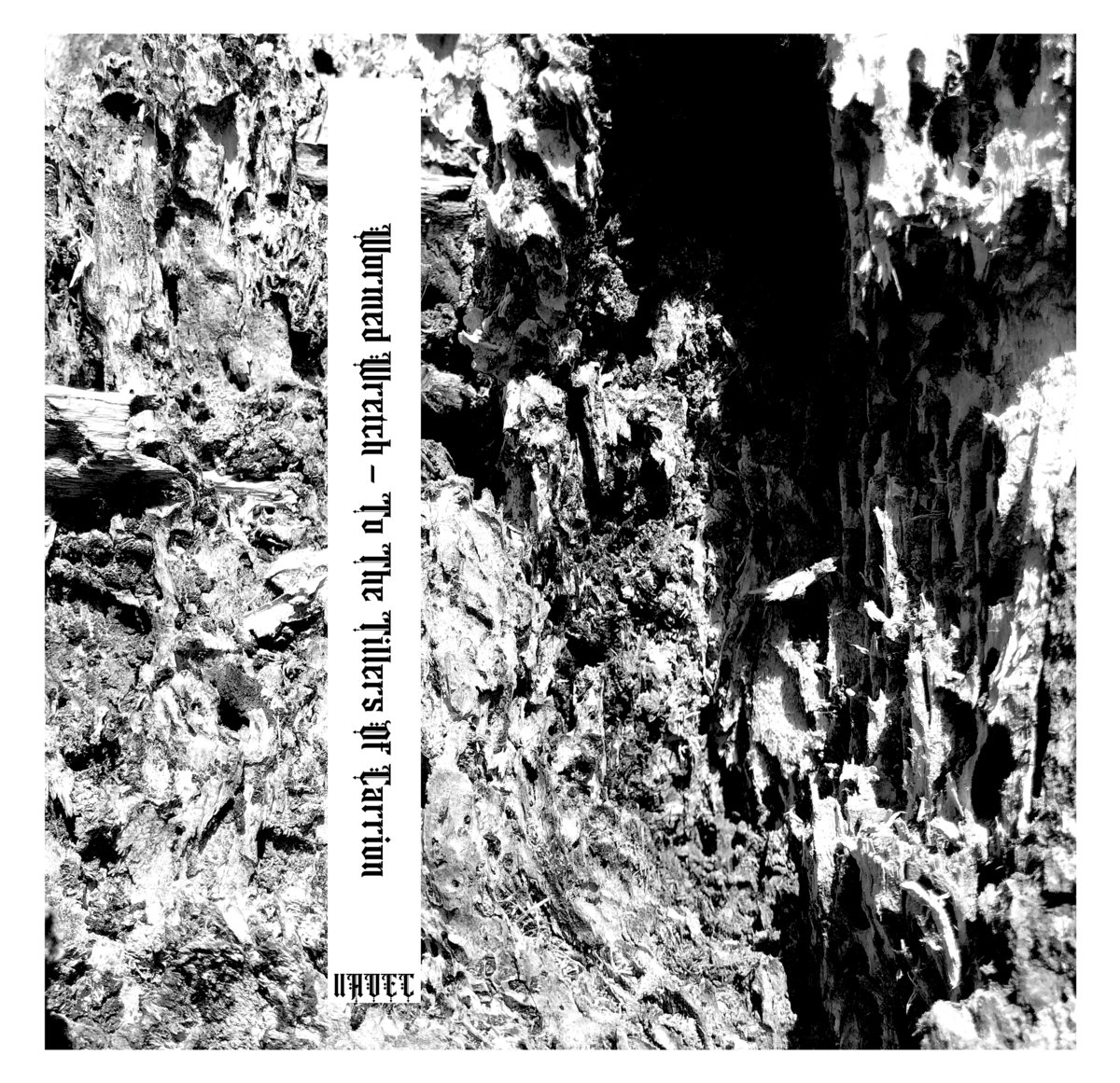 Wormed Wretch  To The Tillers of Carrion