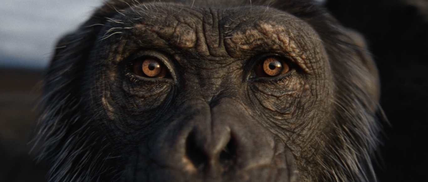 Royal Ontario Museum | OperaDirected by Rune Milton