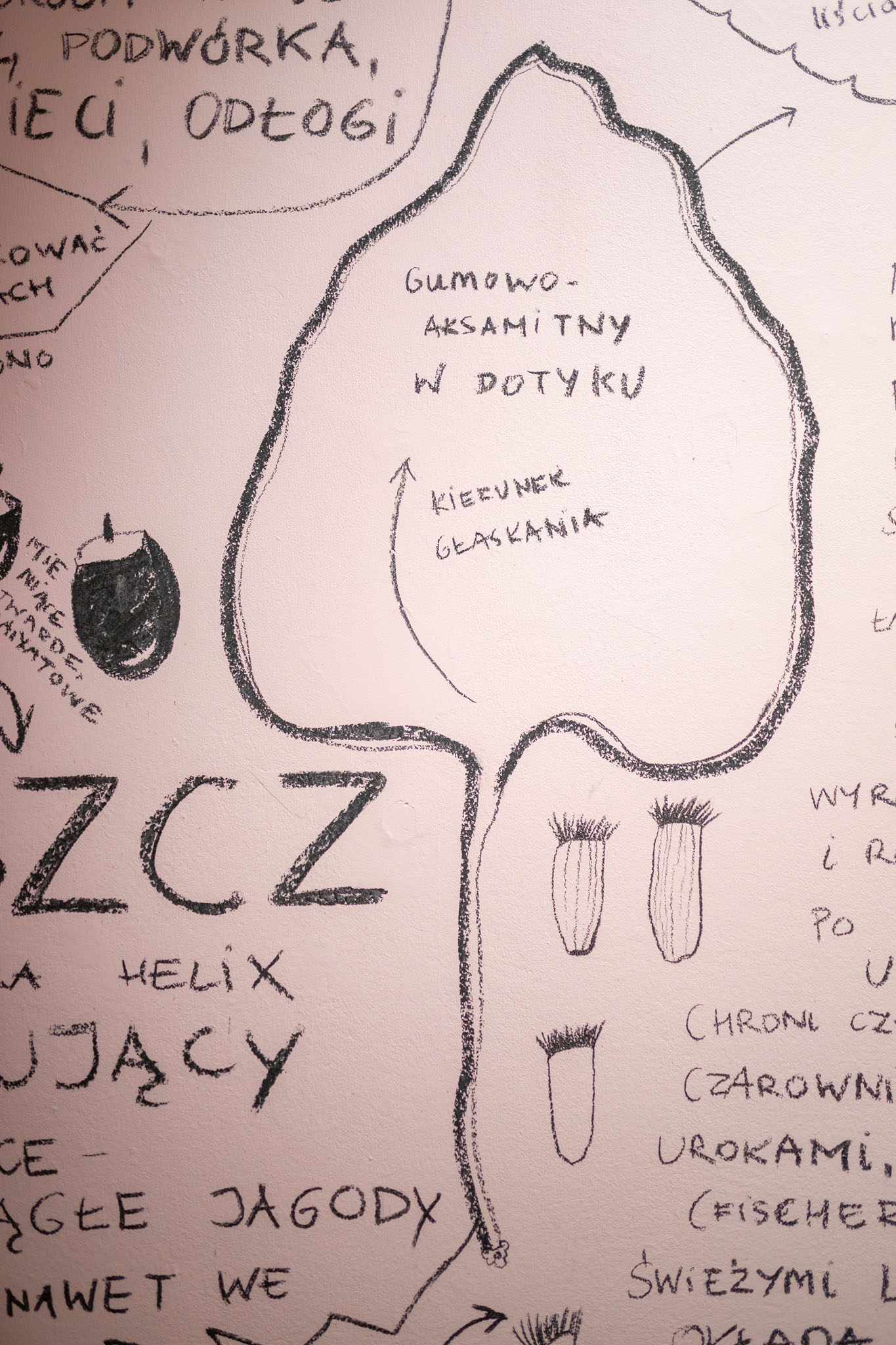 Plant Blindness Syndrome