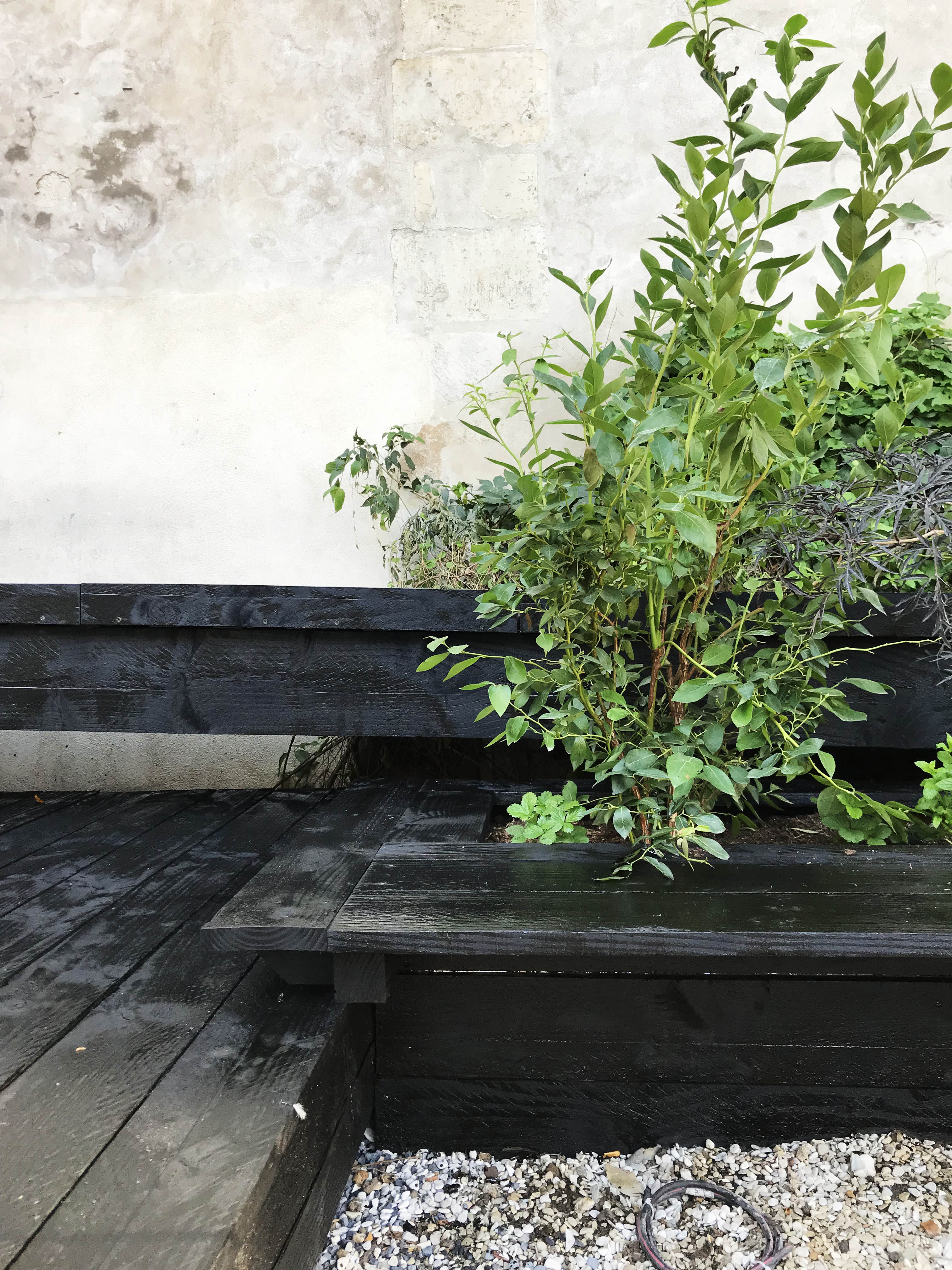 Bothanical path in the Swedish Institut