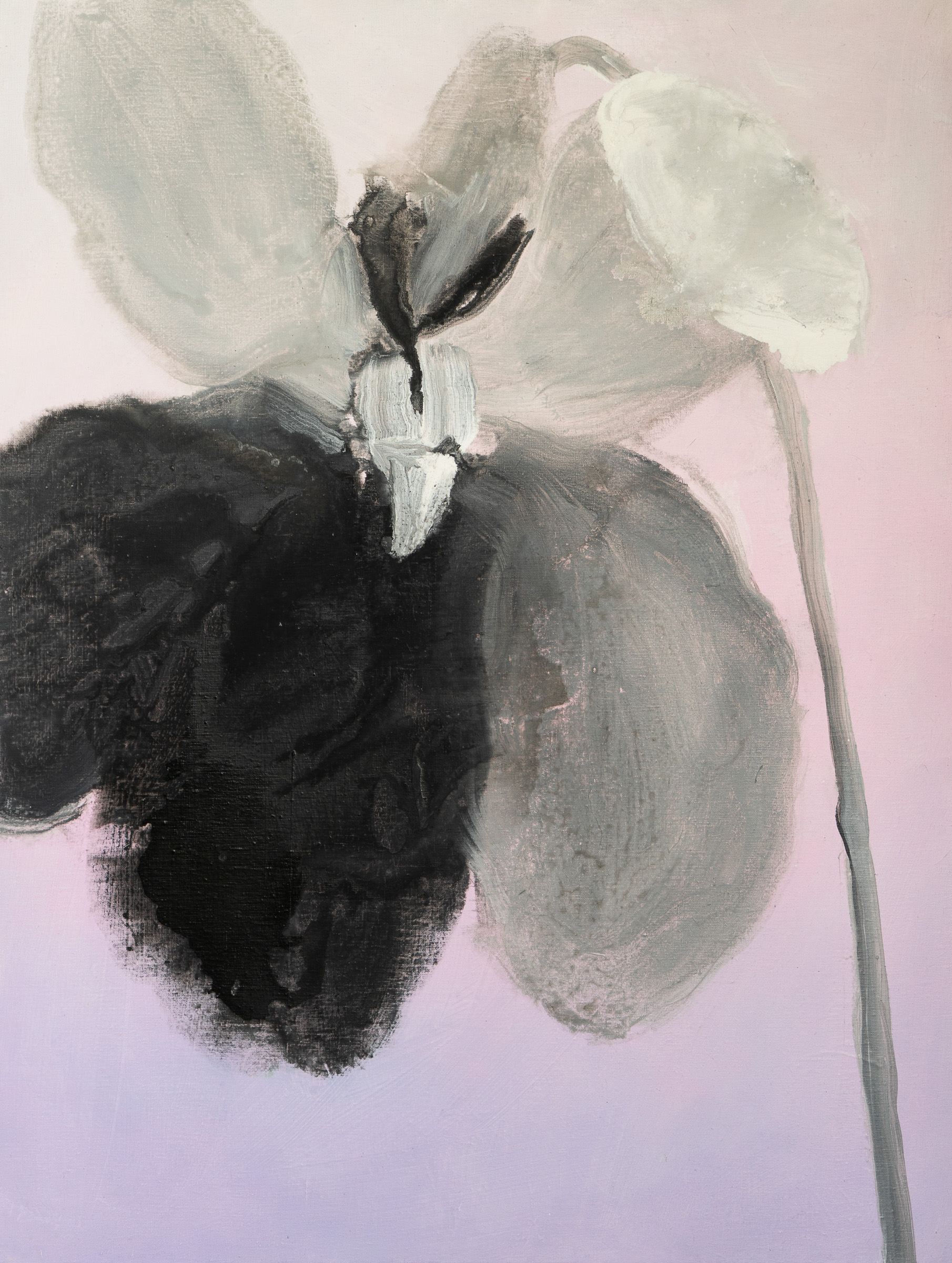 Violet / 105 × 80 cm / acrylic on canvas 