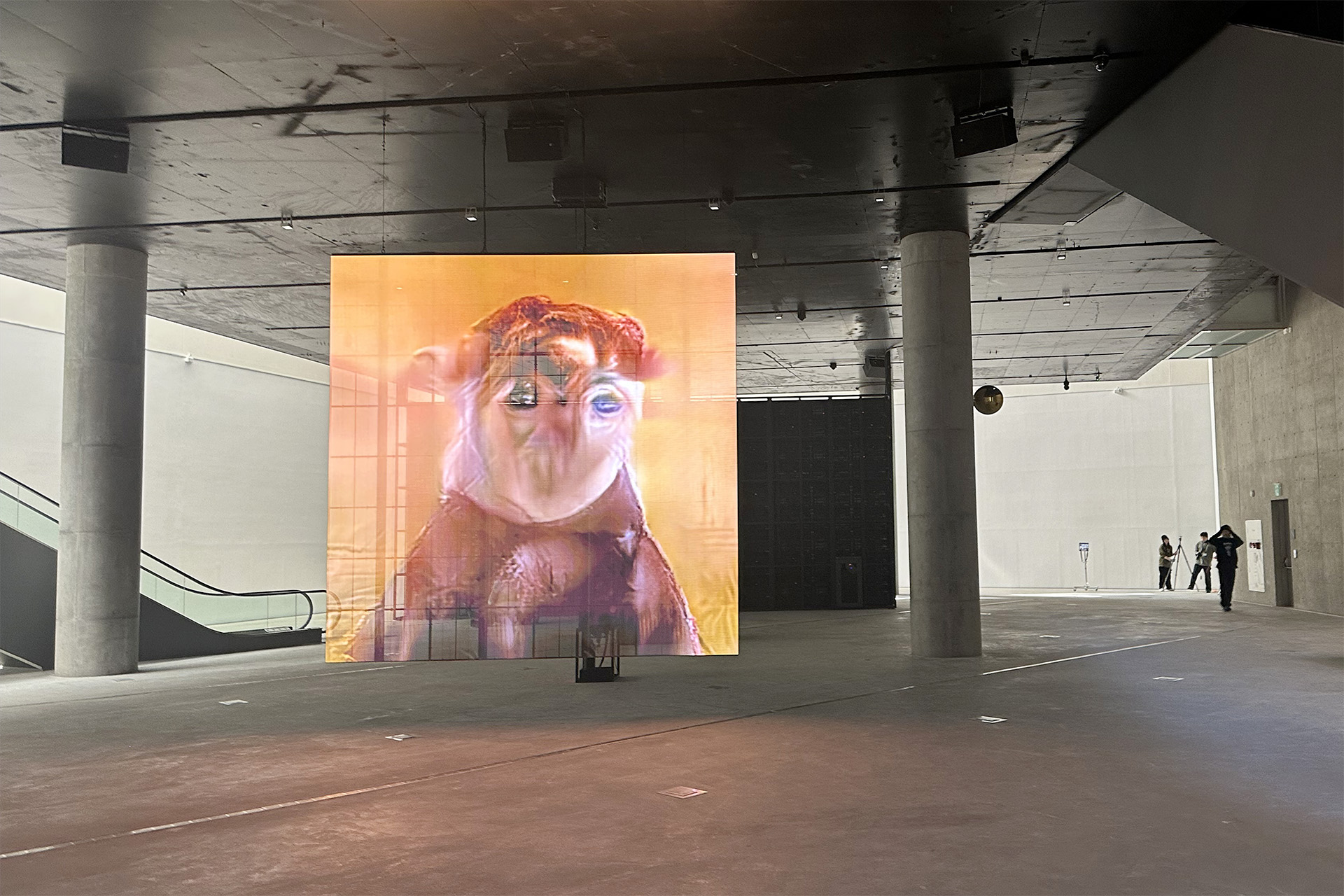 Pierre Huyghe, Liminal — LEEUM Museum of Art, Séoul, Corée du Sud