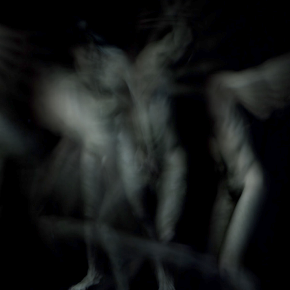 The Flesh, Directed by Scott Barley – unreleased