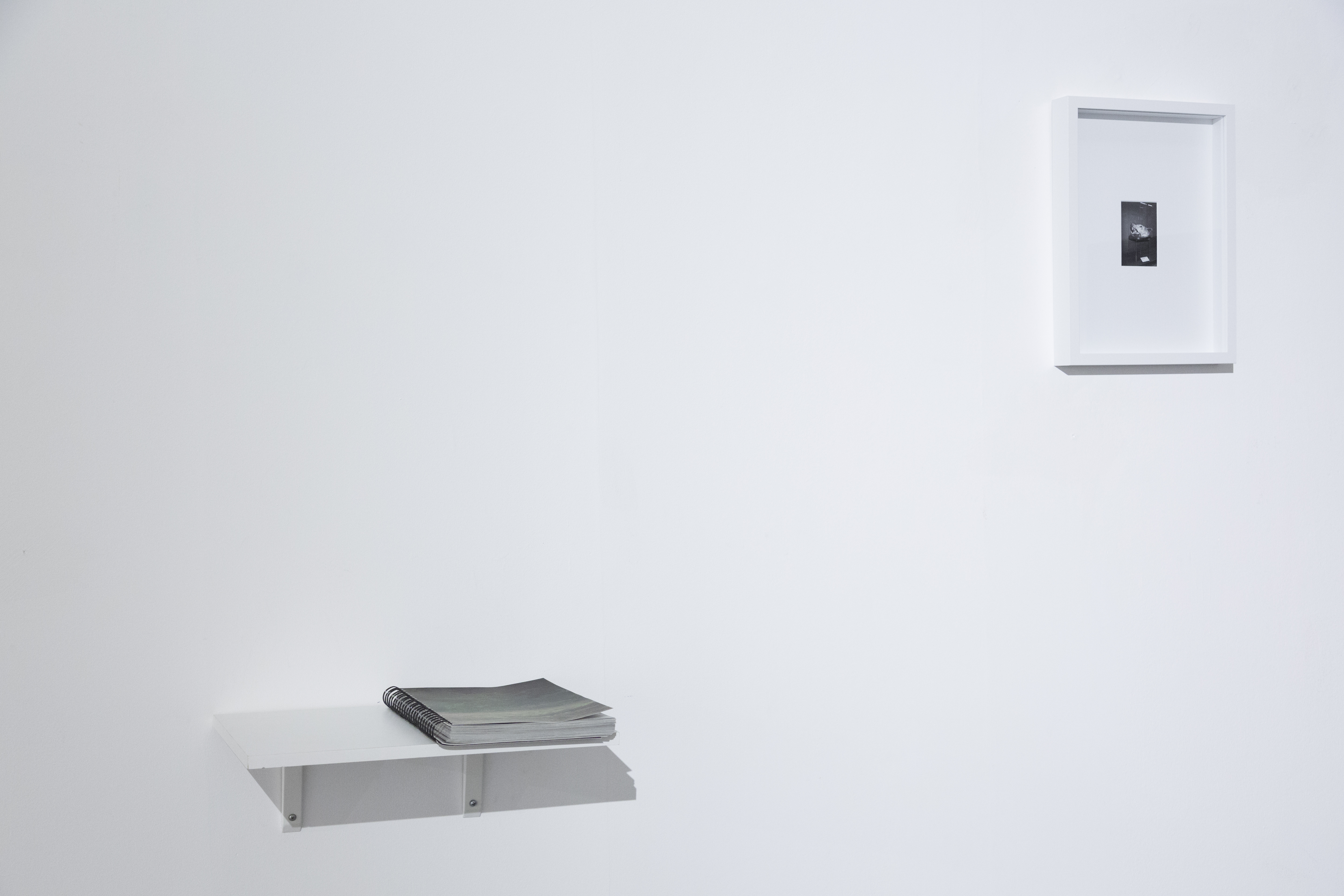 Espace Van Gogh, Arles, 2022&copy; Na&iuml;ma Lecomte