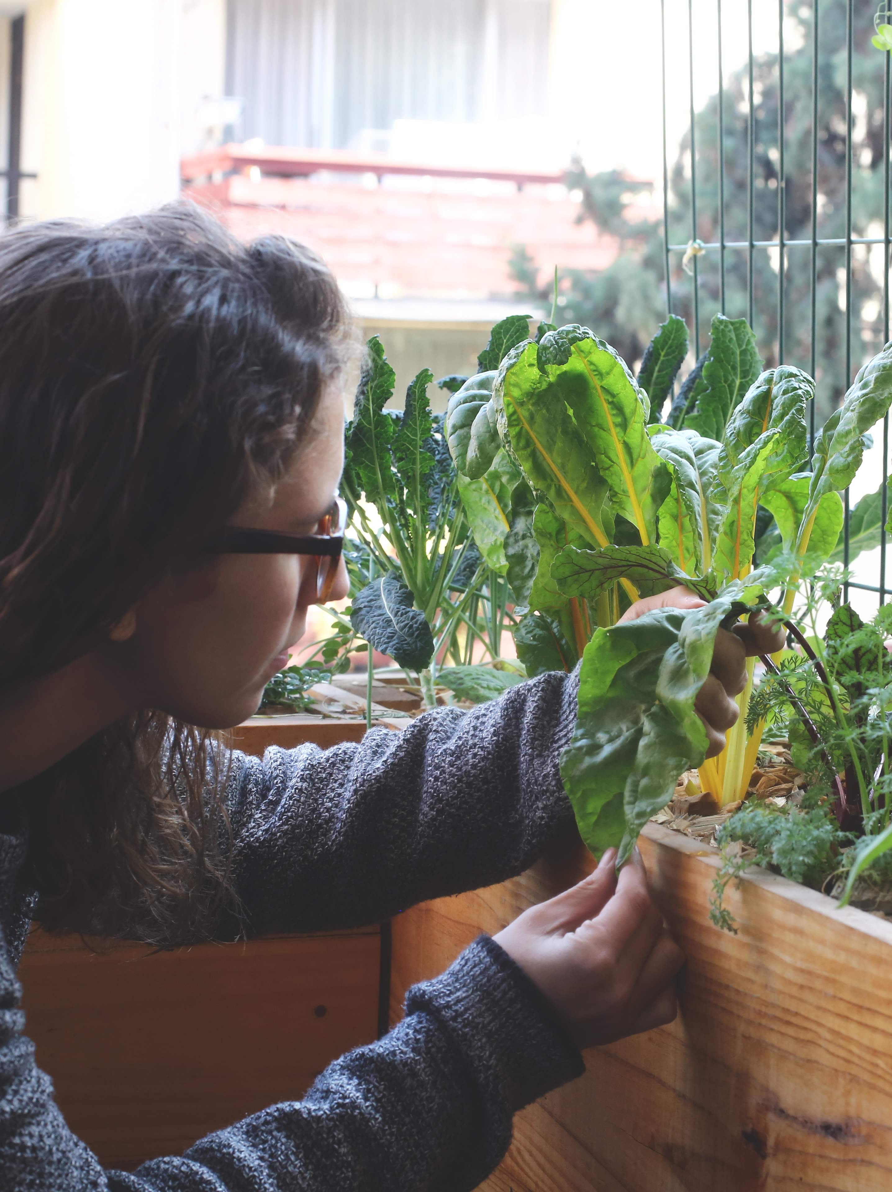 09 JUN — CAMILA LUCERO: REPENSANDO EL ORIGEN DE NUESTROS ALIMENTOS