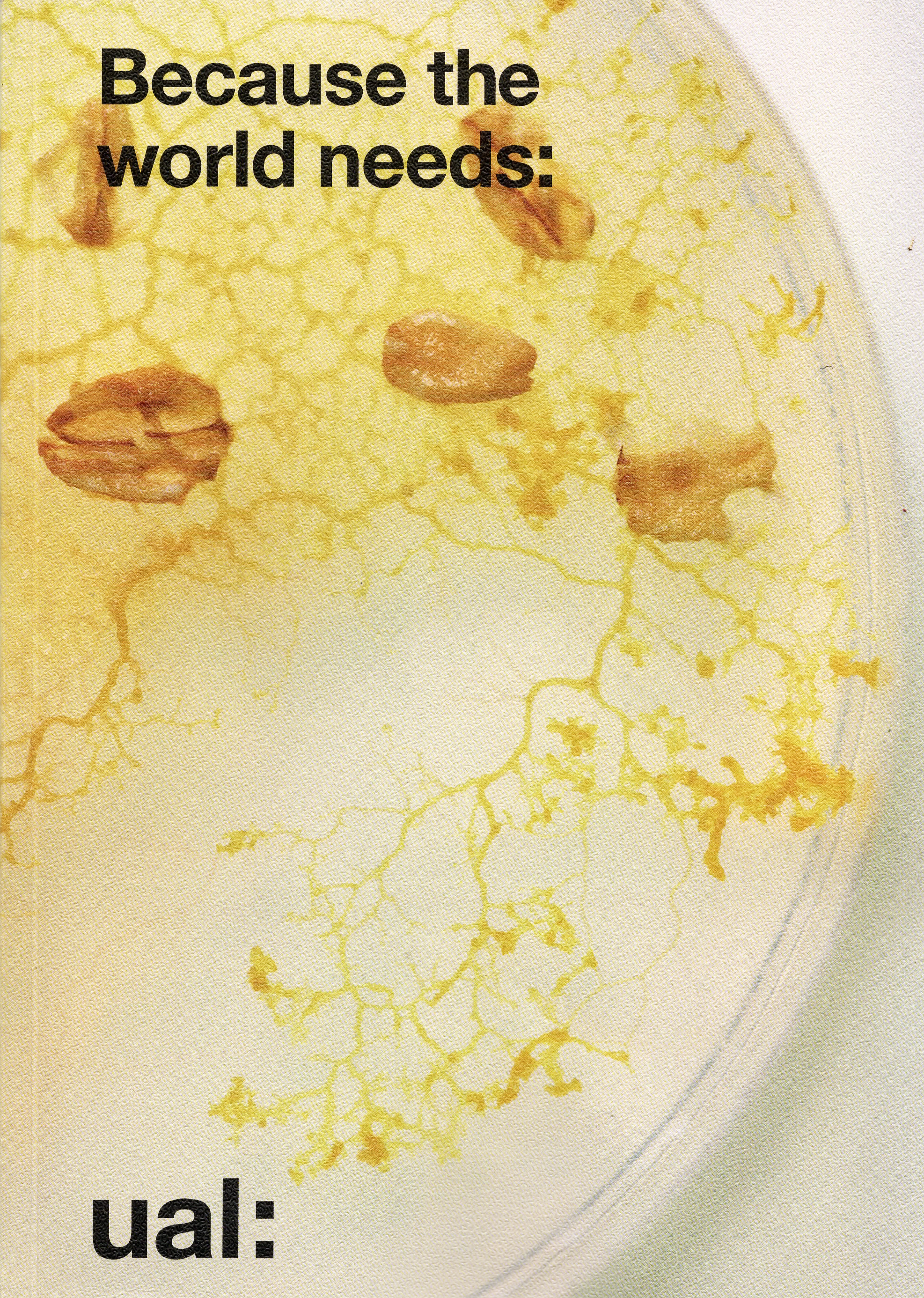 ual: because the world needs