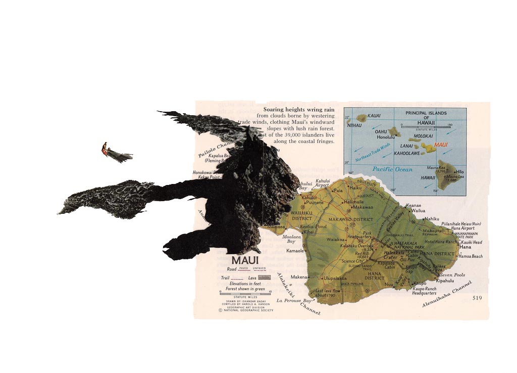 Soaring Heigh Wring Rain (2012)