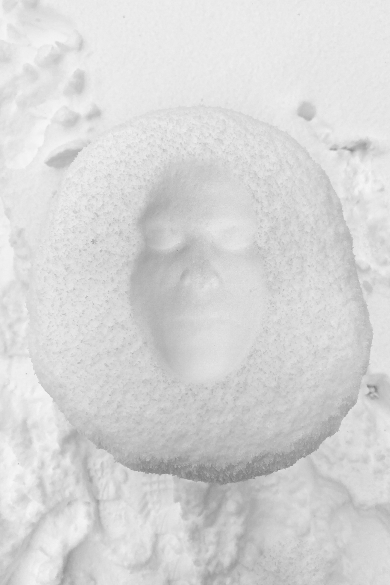 Four Hours Passing, 2021Snow cast, performance, digital photography