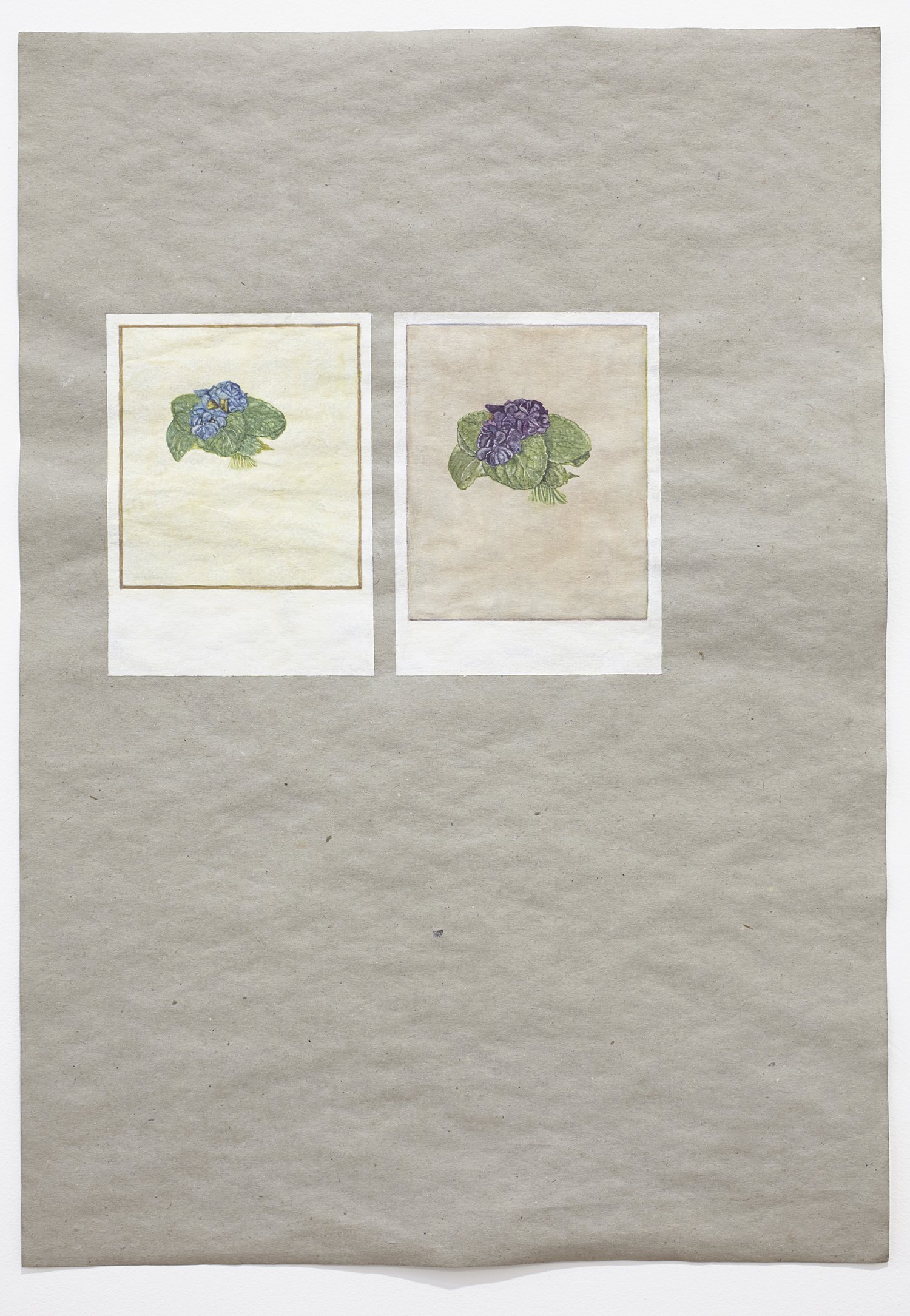 Two Bouquets, 2015Gesso, watercolor, watercolor pencil , and acrylic on gray paper, 18.5" x 13.5"