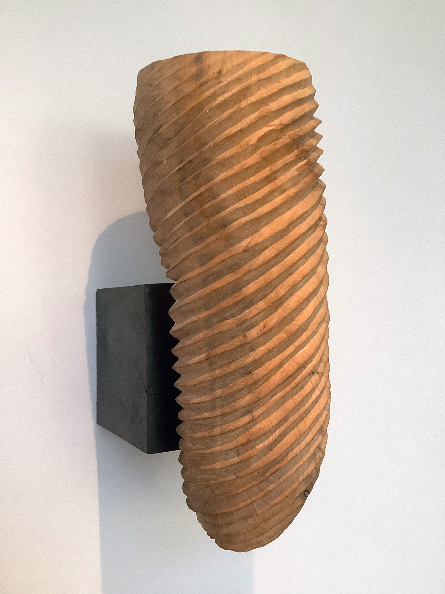 Appendage, Yew wood 18” high