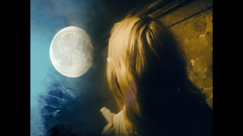 INTERSCOPE CREATIVEWISP - 'BLACK SWAN'