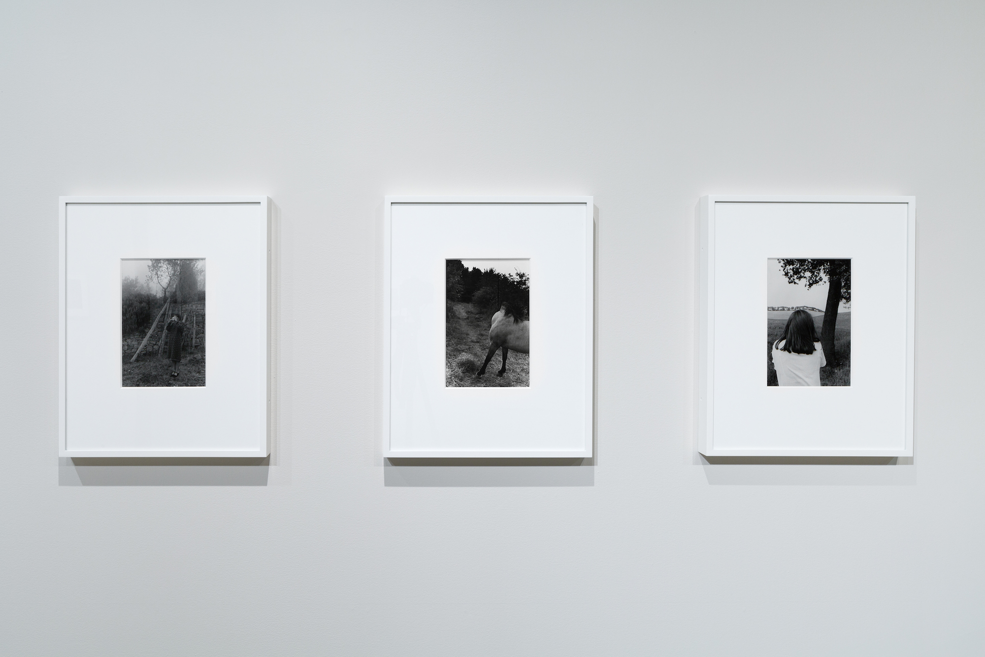 Installation shot, The Eye's Intention: The Photographs and Collages of Arnaud Claass (Credit Rafael Gamo).